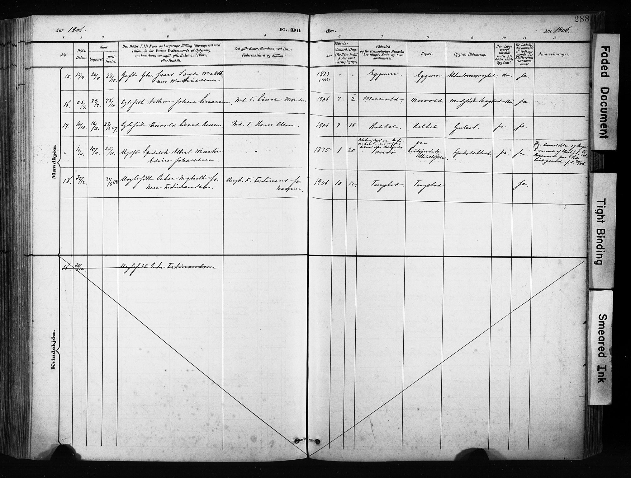 Ministerialprotokoller, klokkerbøker og fødselsregistre - Nordland, AV/SAT-A-1459/880/L1134: Parish register (official) no. 880A08, 1899-1908, p. 288