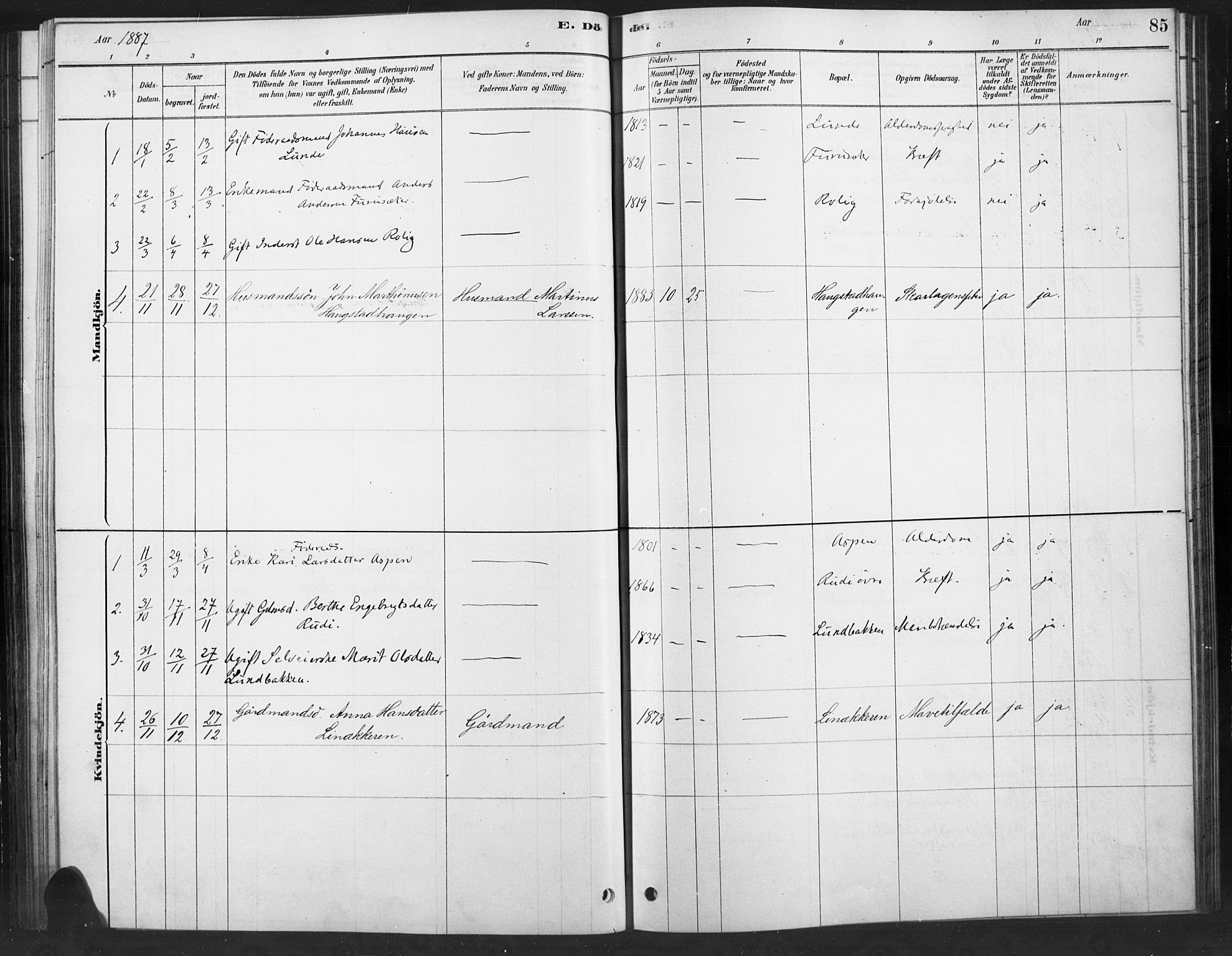 Ringebu prestekontor, SAH/PREST-082/H/Ha/Haa/L0010: Parish register (official) no. 10, 1878-1898, p. 85