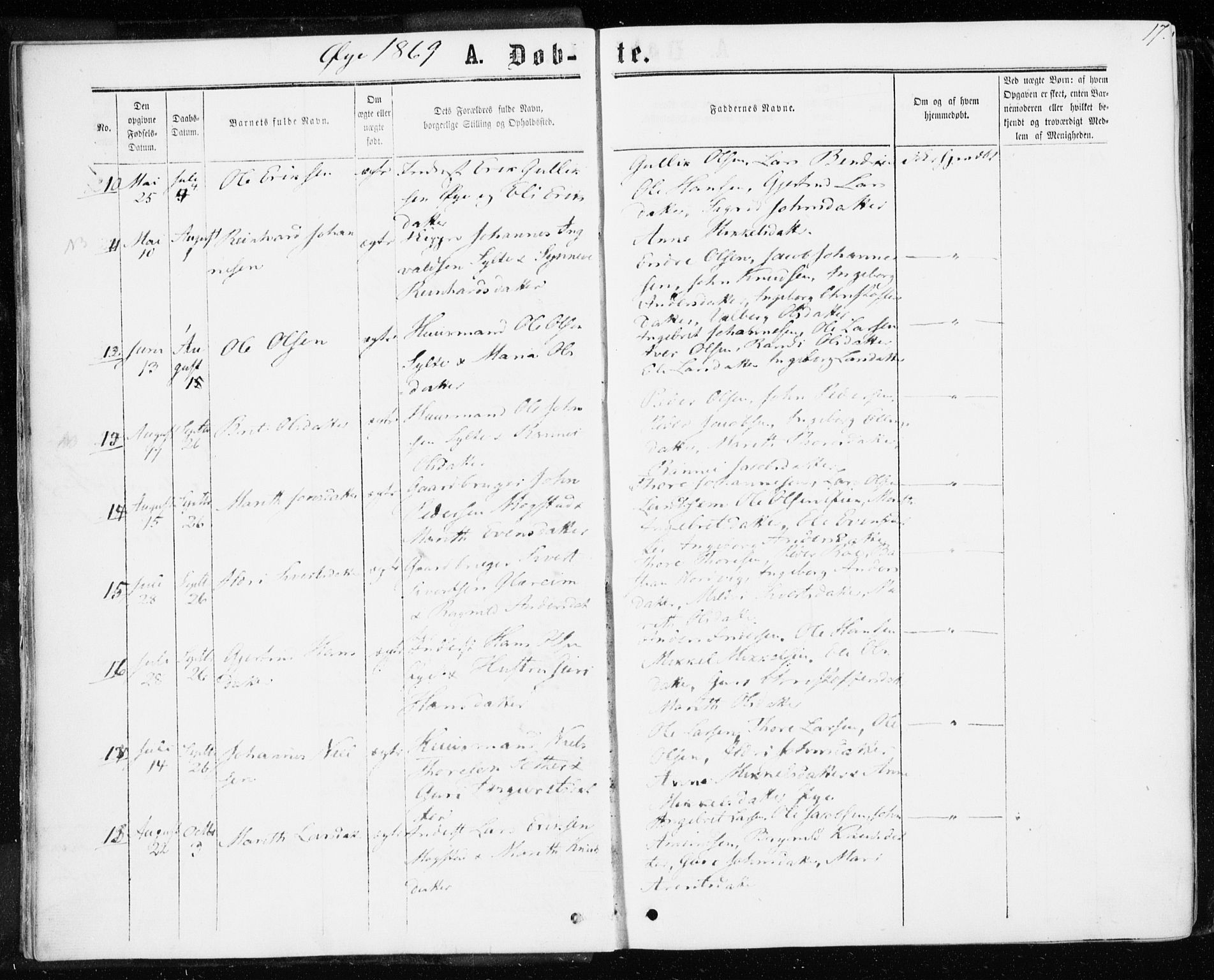 Ministerialprotokoller, klokkerbøker og fødselsregistre - Møre og Romsdal, AV/SAT-A-1454/595/L1045: Parish register (official) no. 595A07, 1863-1873, p. 17