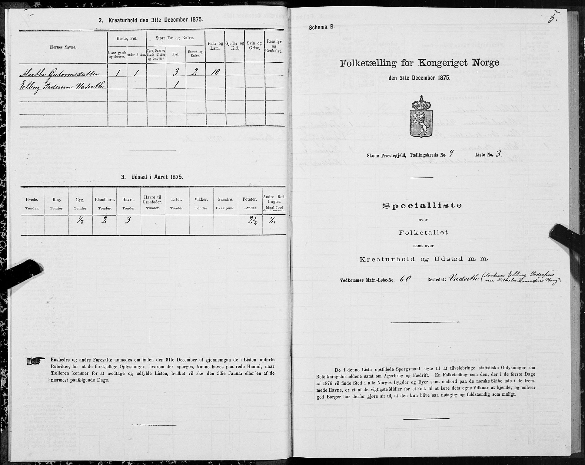 SAT, 1875 census for 1529P Skodje, 1875, p. 3005