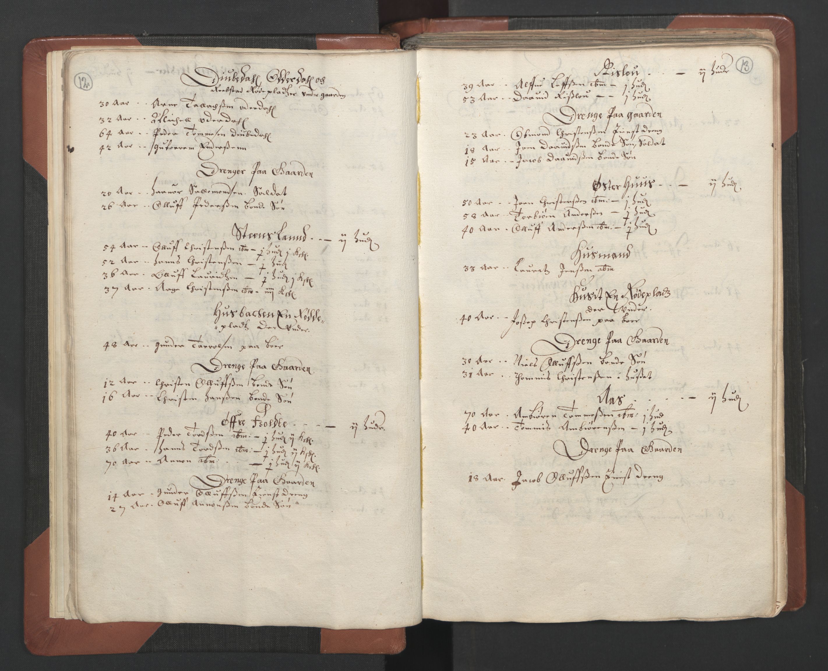 RA, Bailiff's Census 1664-1666, no. 7: Nedenes fogderi, 1664-1666, p. 12-13