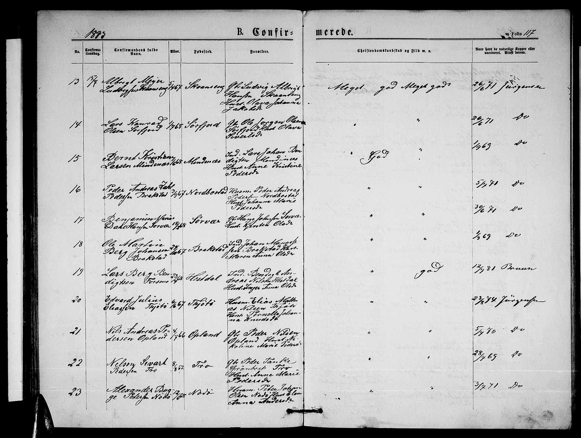 Ministerialprotokoller, klokkerbøker og fødselsregistre - Nordland, AV/SAT-A-1459/817/L0267: Parish register (copy) no. 817C02, 1870-1883, p. 117