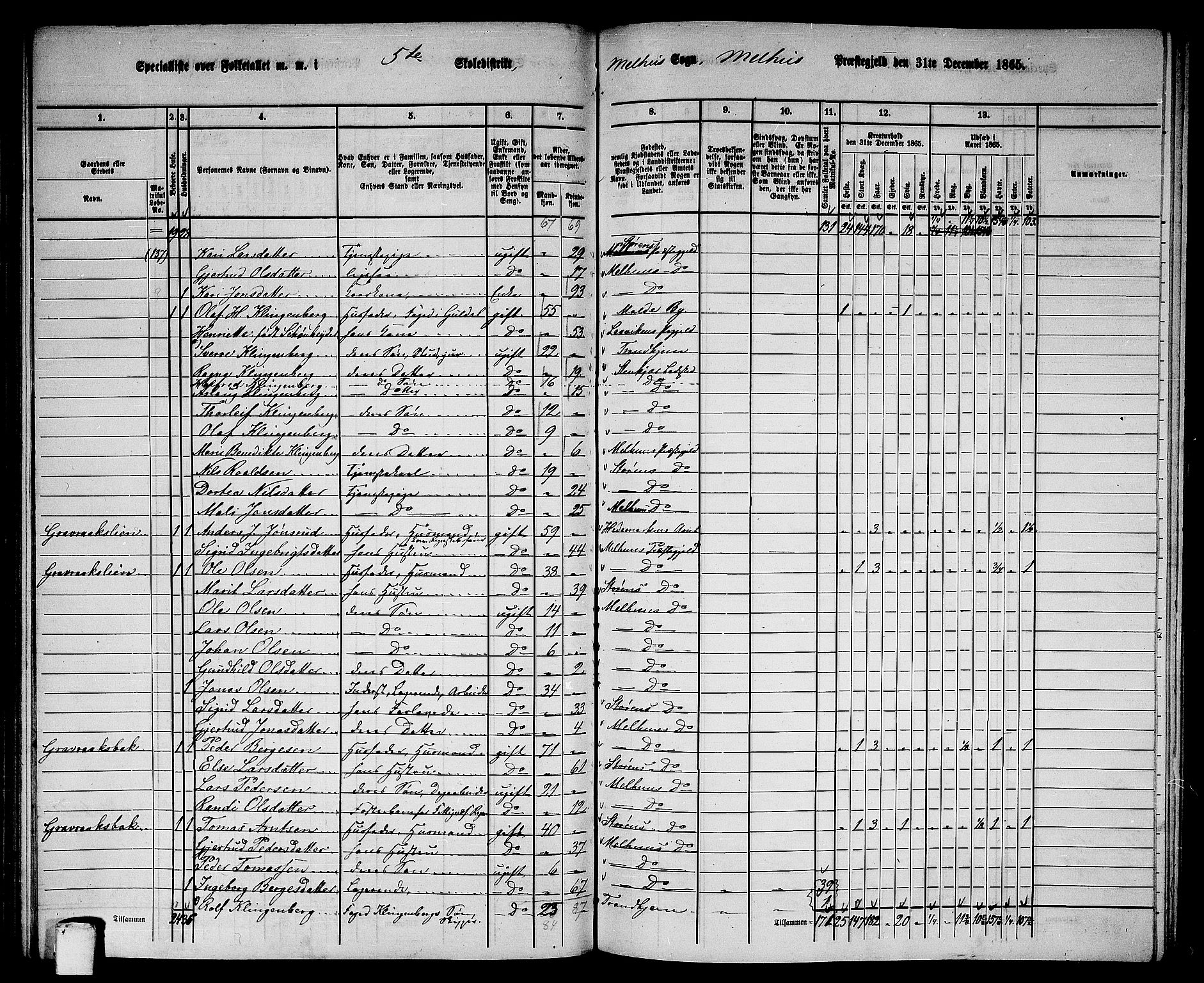 RA, 1865 census for Melhus, 1865, p. 96