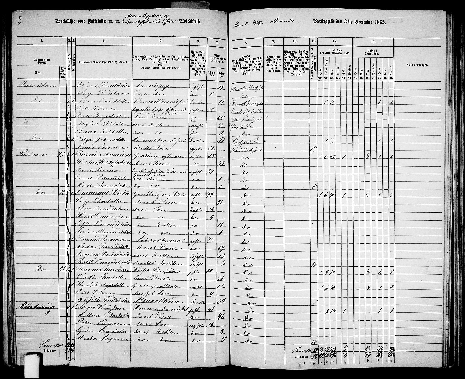 RA, 1865 census for Strand, 1865, p. 25