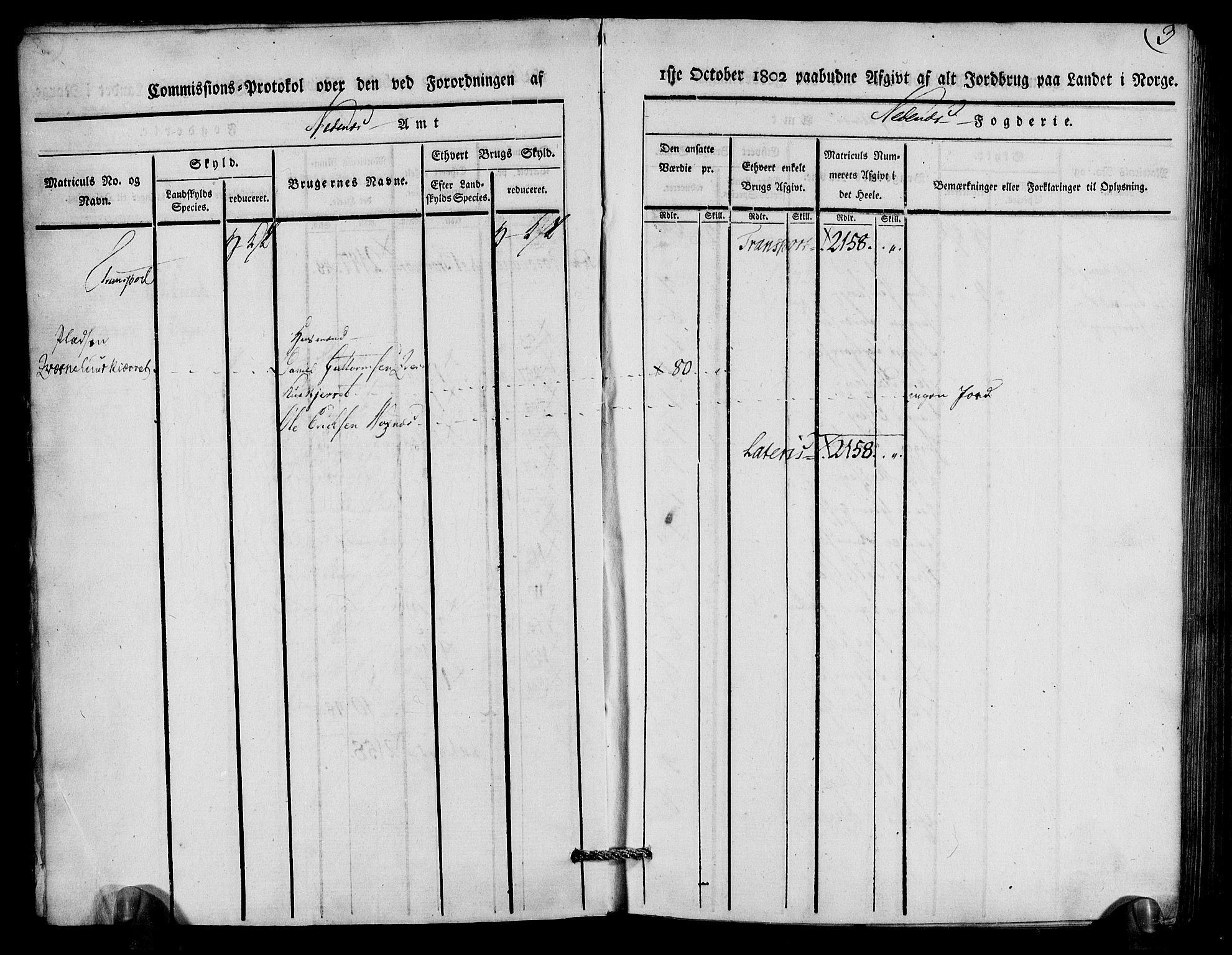 Rentekammeret inntil 1814, Realistisk ordnet avdeling, AV/RA-EA-4070/N/Ne/Nea/L0079: Nedenes fogderi. Kommisjonsprotokoll "Nr. 2", for Strengereid skipreide, 1803, p. 4