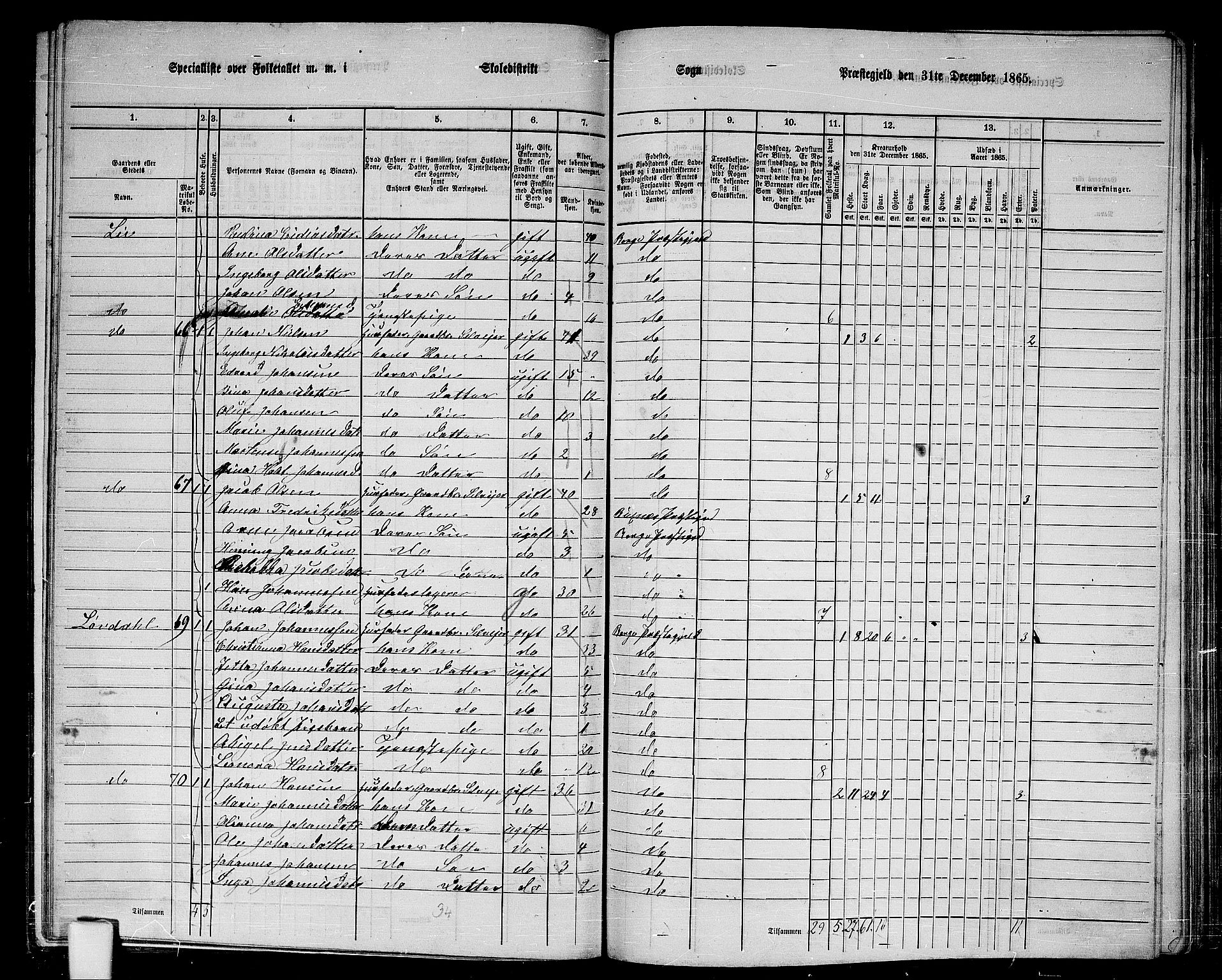 RA, 1865 census for Borge, 1865, p. 31