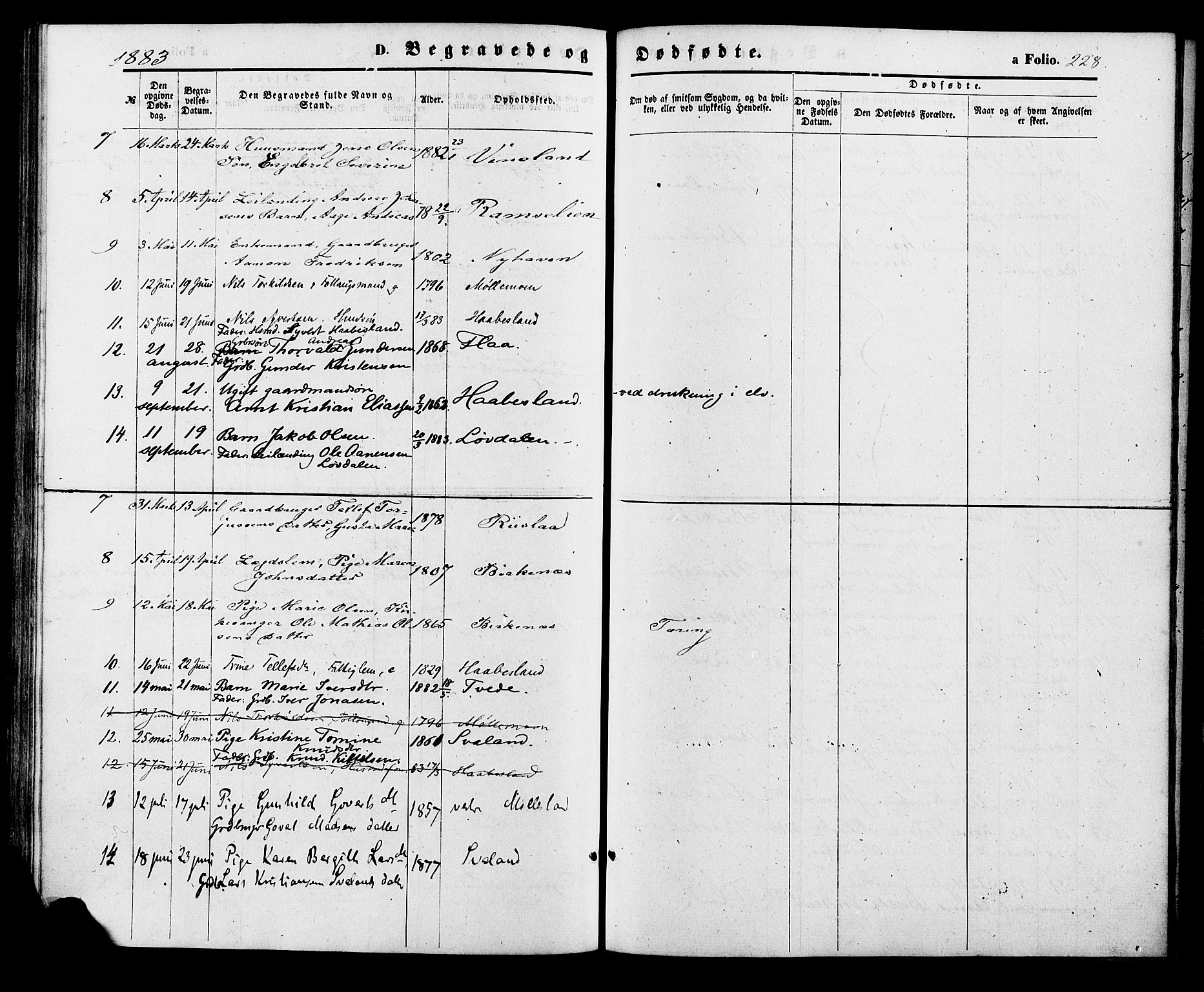 Birkenes sokneprestkontor, AV/SAK-1111-0004/F/Fa/L0004: Parish register (official) no. A 4, 1867-1886, p. 228