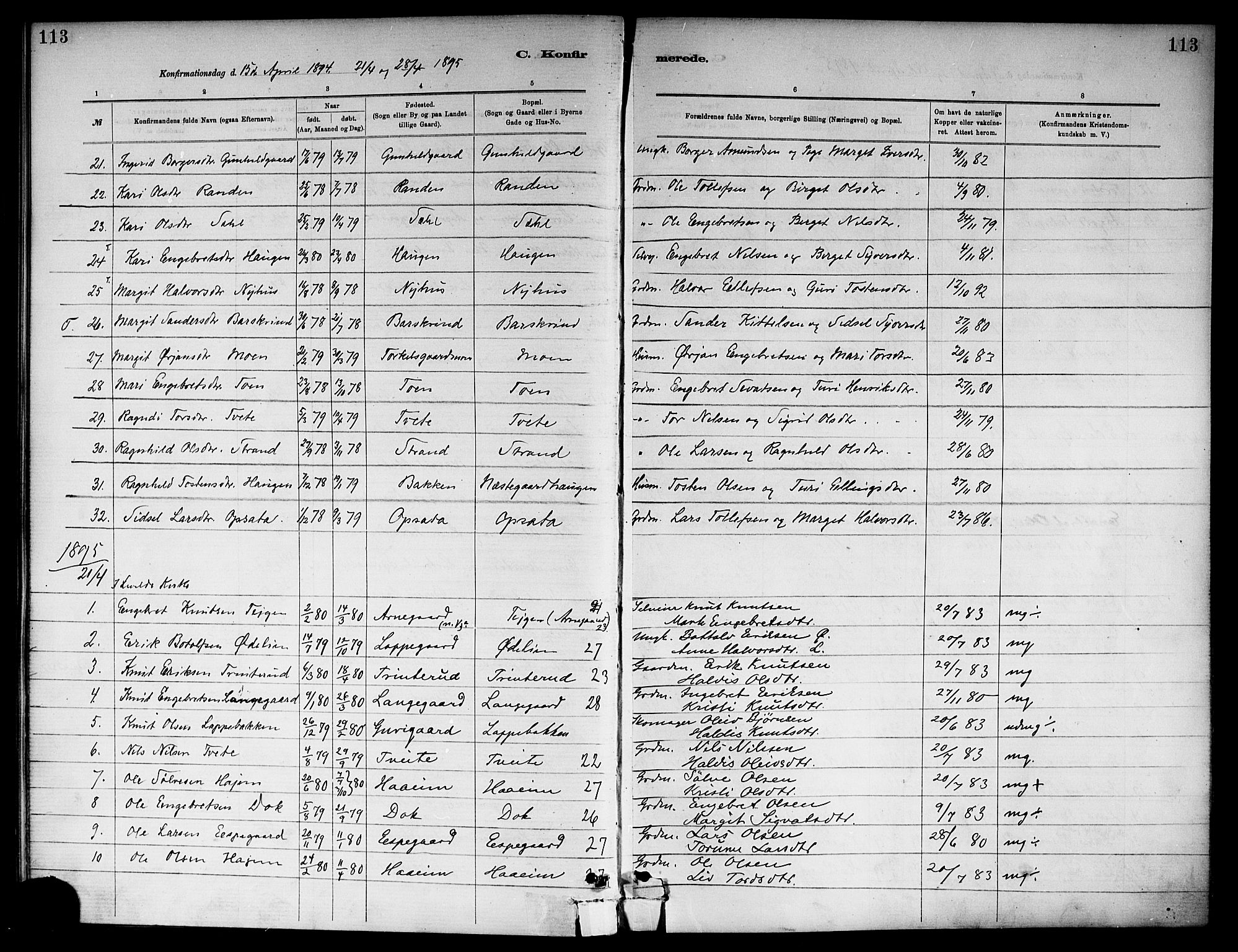 Ål kirkebøker, AV/SAKO-A-249/F/Fa/L0008: Parish register (official) no. I 8, 1882-1896, p. 113