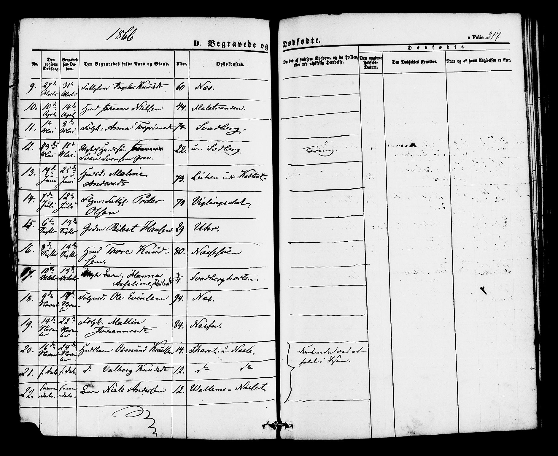 Hjelmeland sokneprestkontor, SAST/A-101843/01/IV/L0012: Parish register (official) no. A 12, 1862-1886, p. 217
