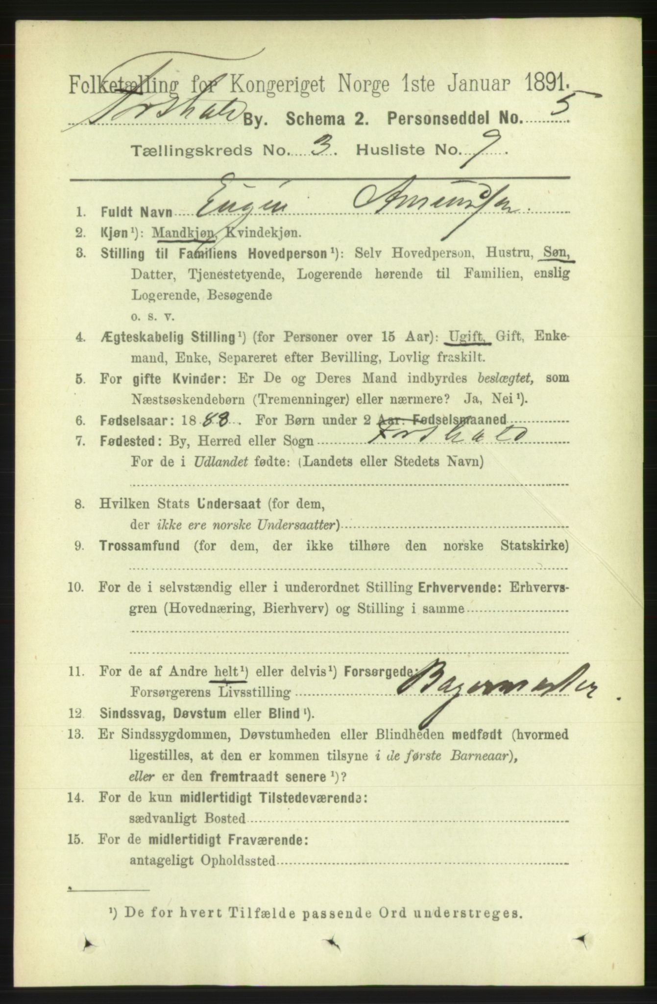 RA, 1891 census for 0101 Fredrikshald, 1891, p. 3344
