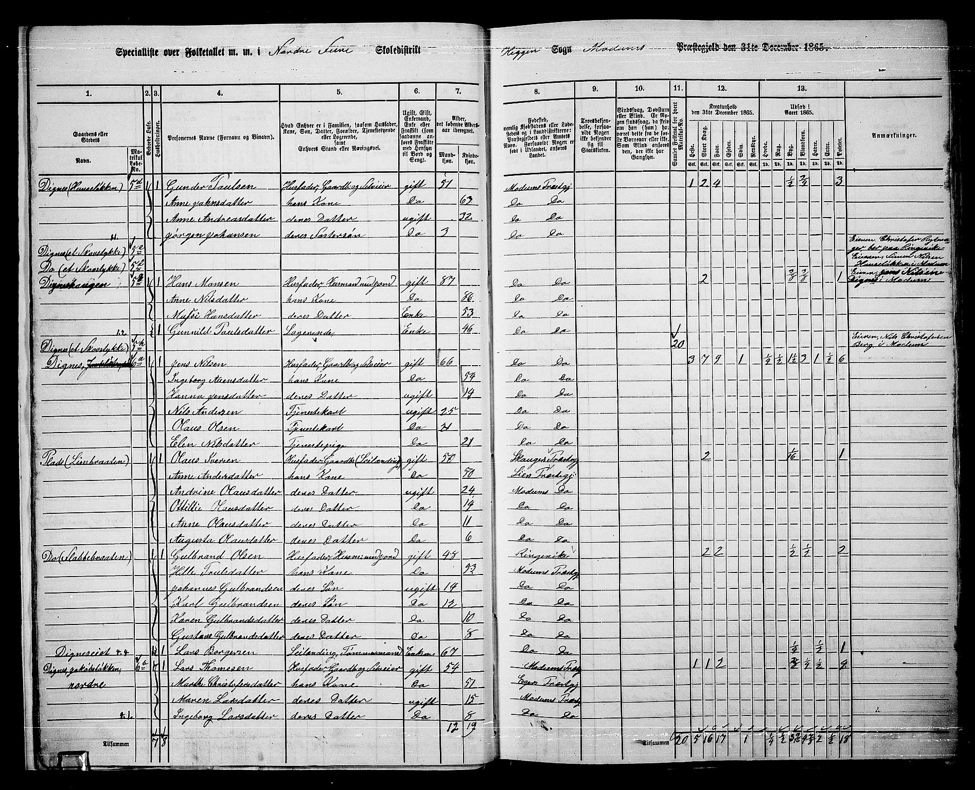 RA, 1865 census for Modum, 1865, p. 22