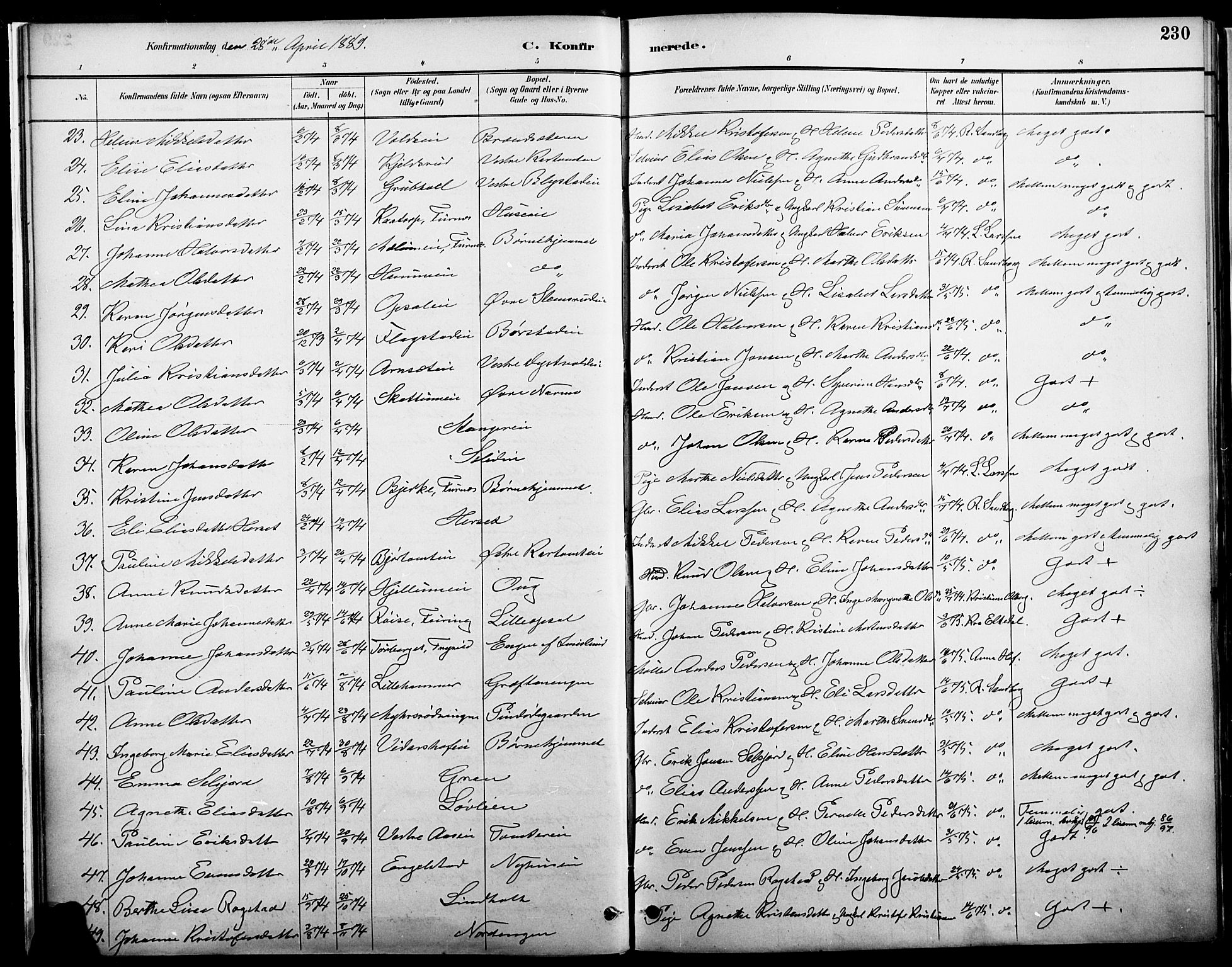 Vang prestekontor, Hedmark, AV/SAH-PREST-008/H/Ha/Haa/L0019A: Parish register (official) no. 19, 1886-1900, p. 230