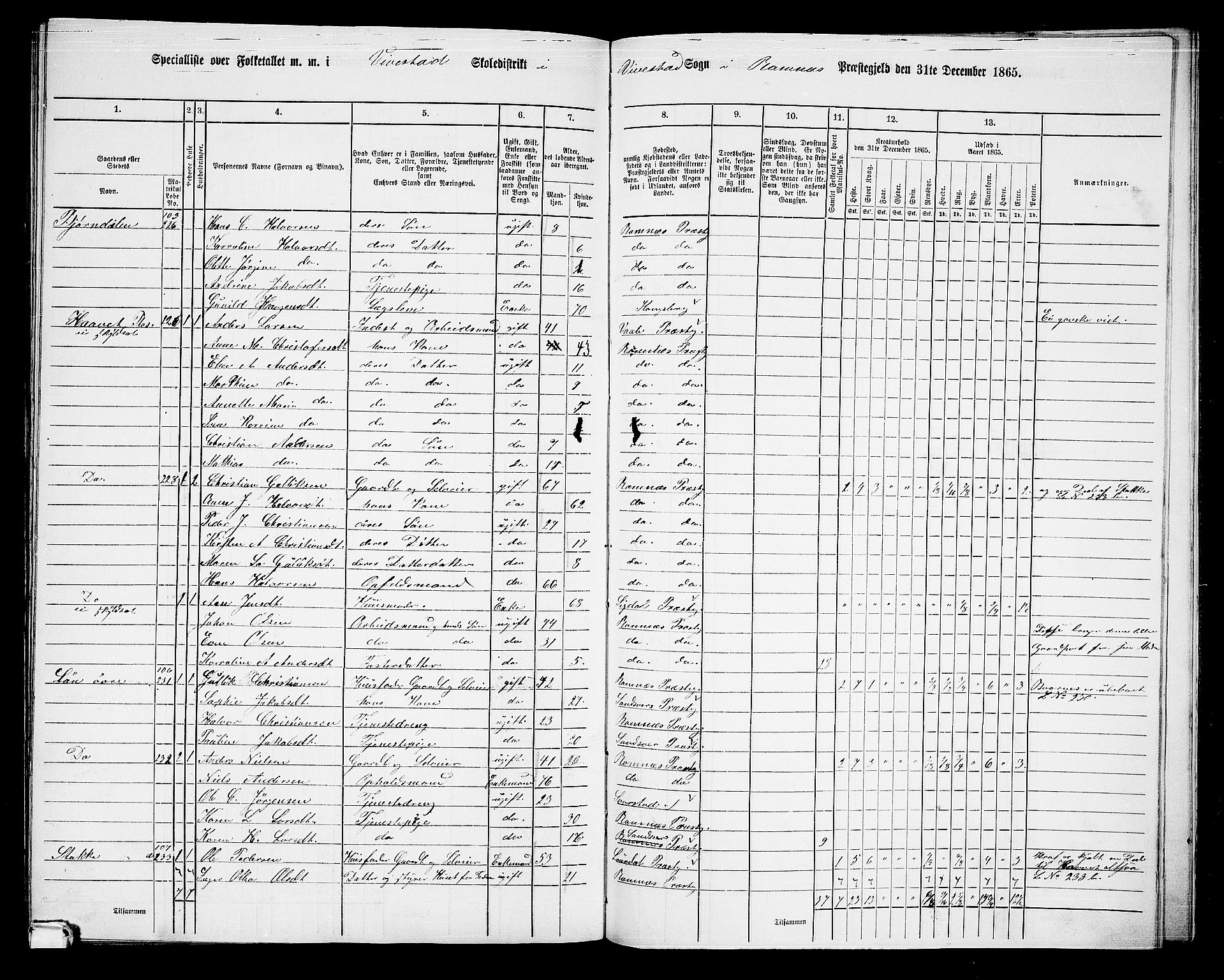 RA, 1865 census for Ramnes, 1865, p. 113