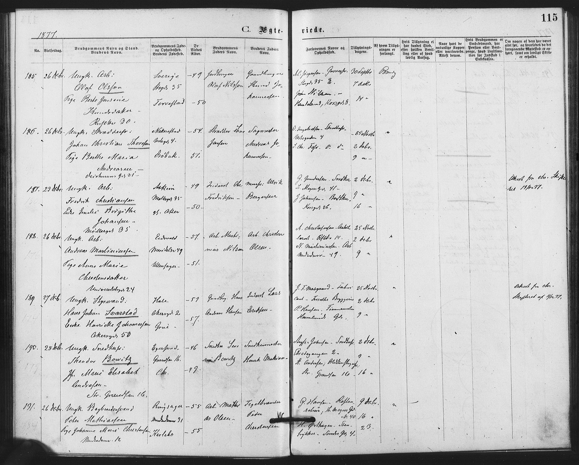 Trefoldighet prestekontor Kirkebøker, SAO/A-10882/F/Fc/L0002: Parish register (official) no. III 2, 1874-1881, p. 115
