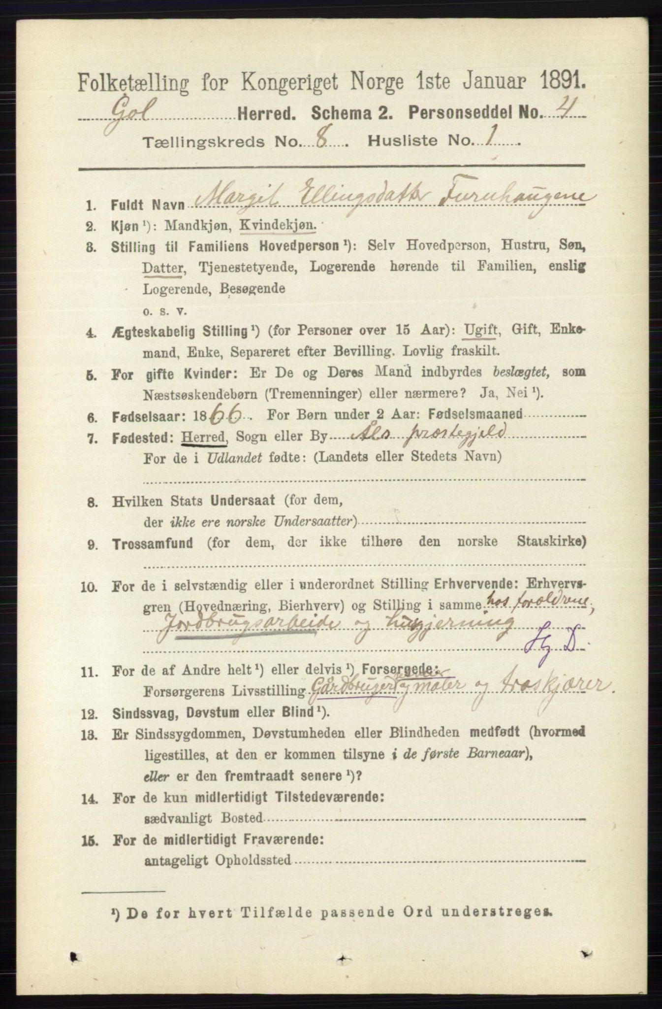 RA, 1891 census for 0617 Gol og Hemsedal, 1891, p. 3038