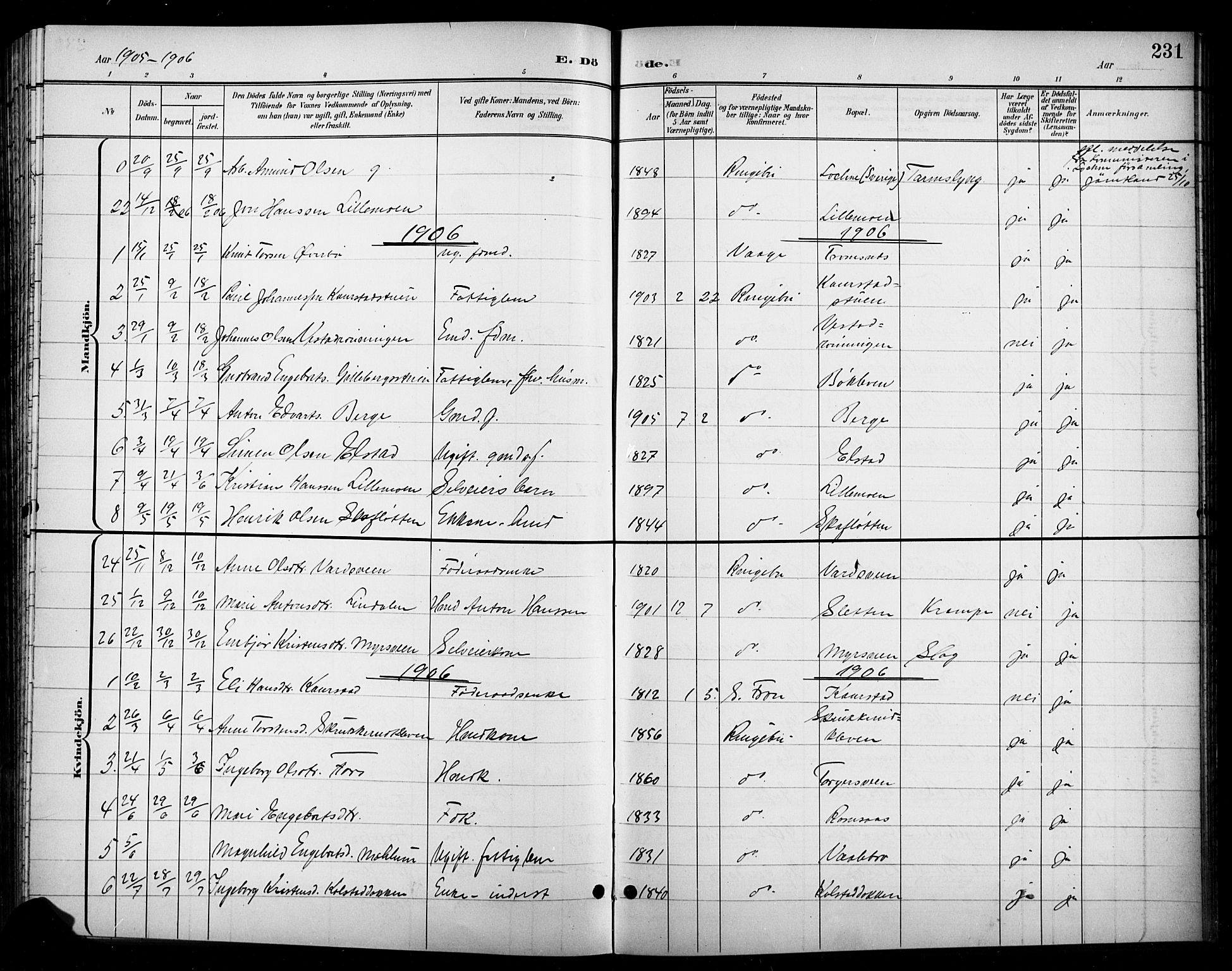 Ringebu prestekontor, SAH/PREST-082/H/Ha/Hab/L0009: Parish register (copy) no. 9, 1899-1921, p. 231