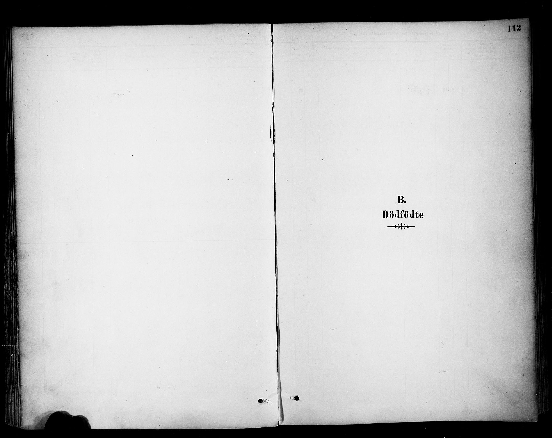 Ministerialprotokoller, klokkerbøker og fødselsregistre - Møre og Romsdal, SAT/A-1454/513/L0177: Parish register (official) no. 513A04, 1890-1906, p. 112