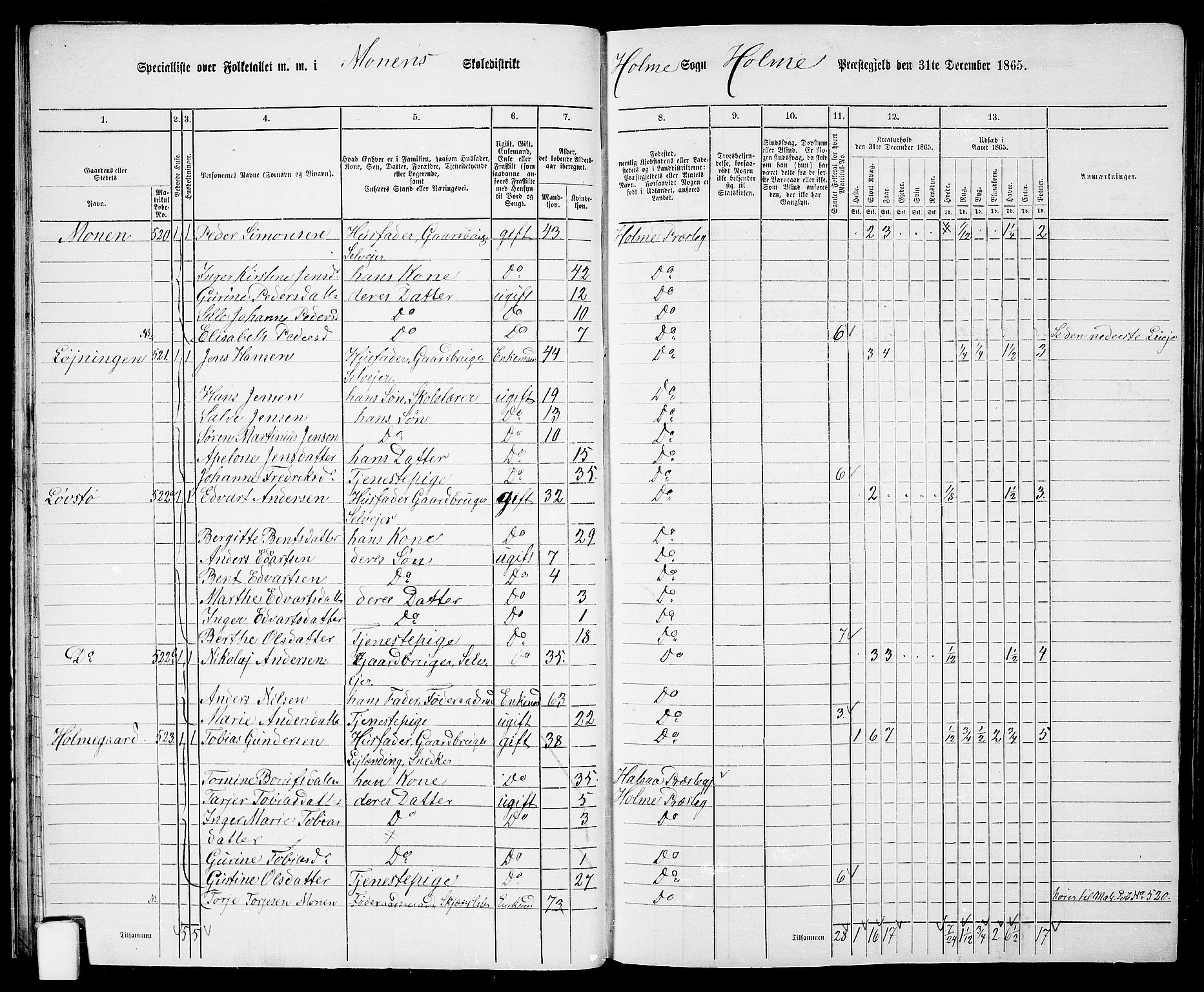 RA, 1865 census for Holum, 1865, p. 31