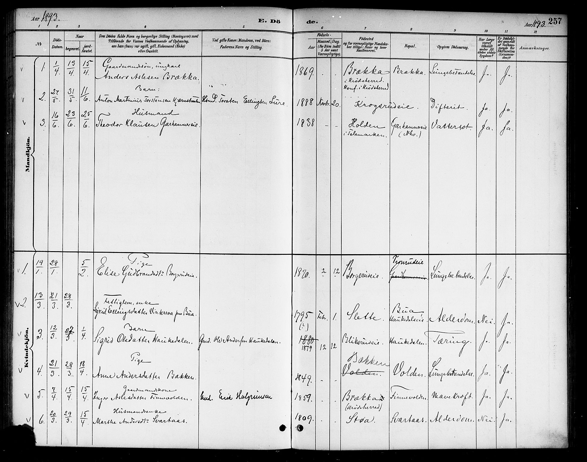 Lunder kirkebøker, SAKO/A-629/G/Ga/L0004: Parish register (copy) no. I 4, 1889-1917, p. 257