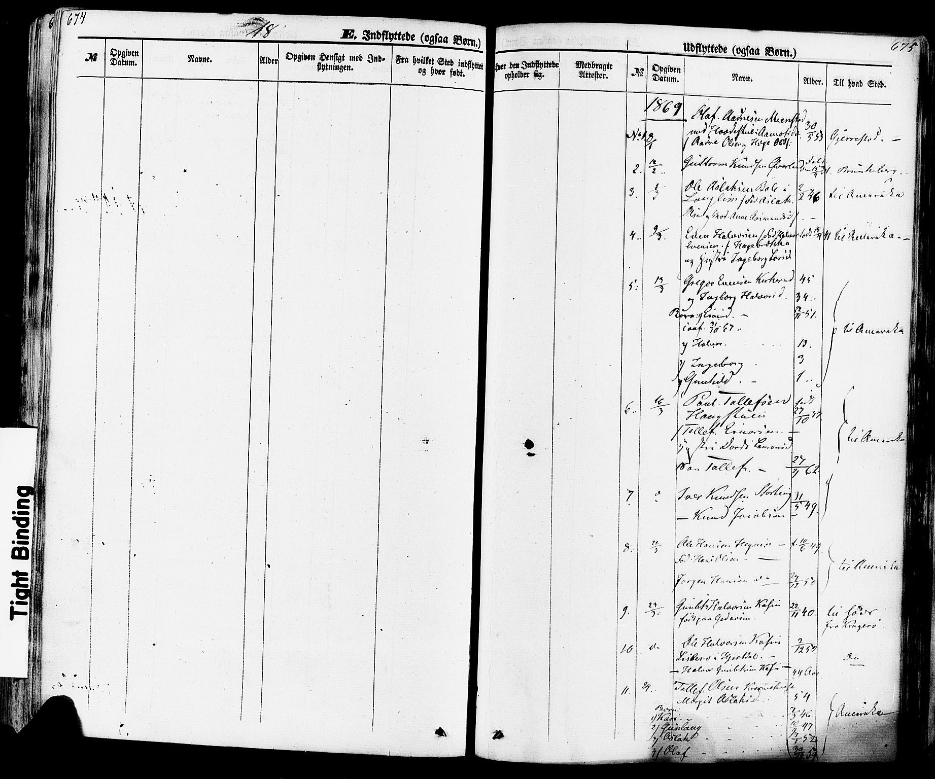 Seljord kirkebøker, AV/SAKO-A-20/F/Fa/L0013: Parish register (official) no. I 13, 1866-1876, p. 674-675