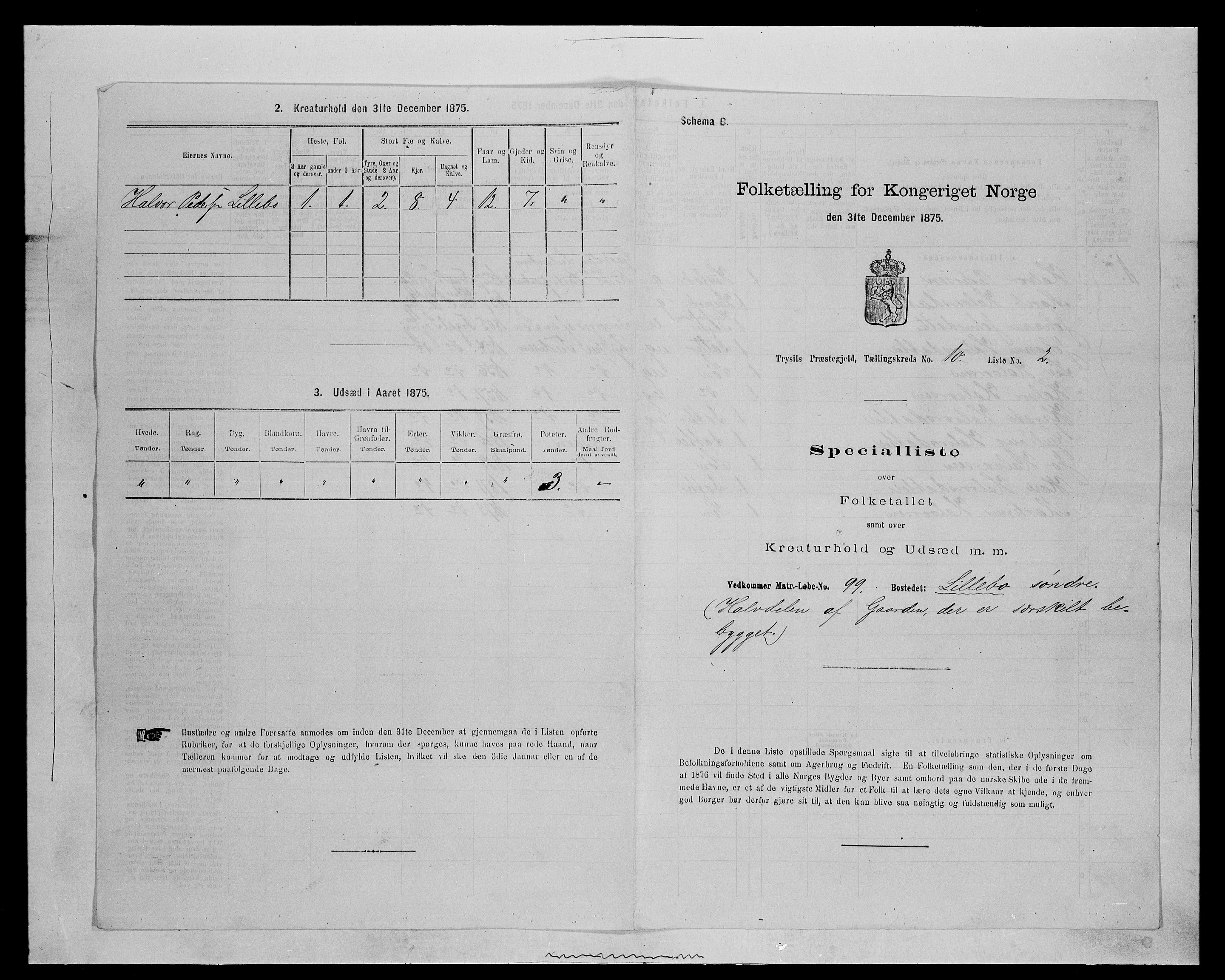 SAH, 1875 census for 0428P Trysil, 1875, p. 1142