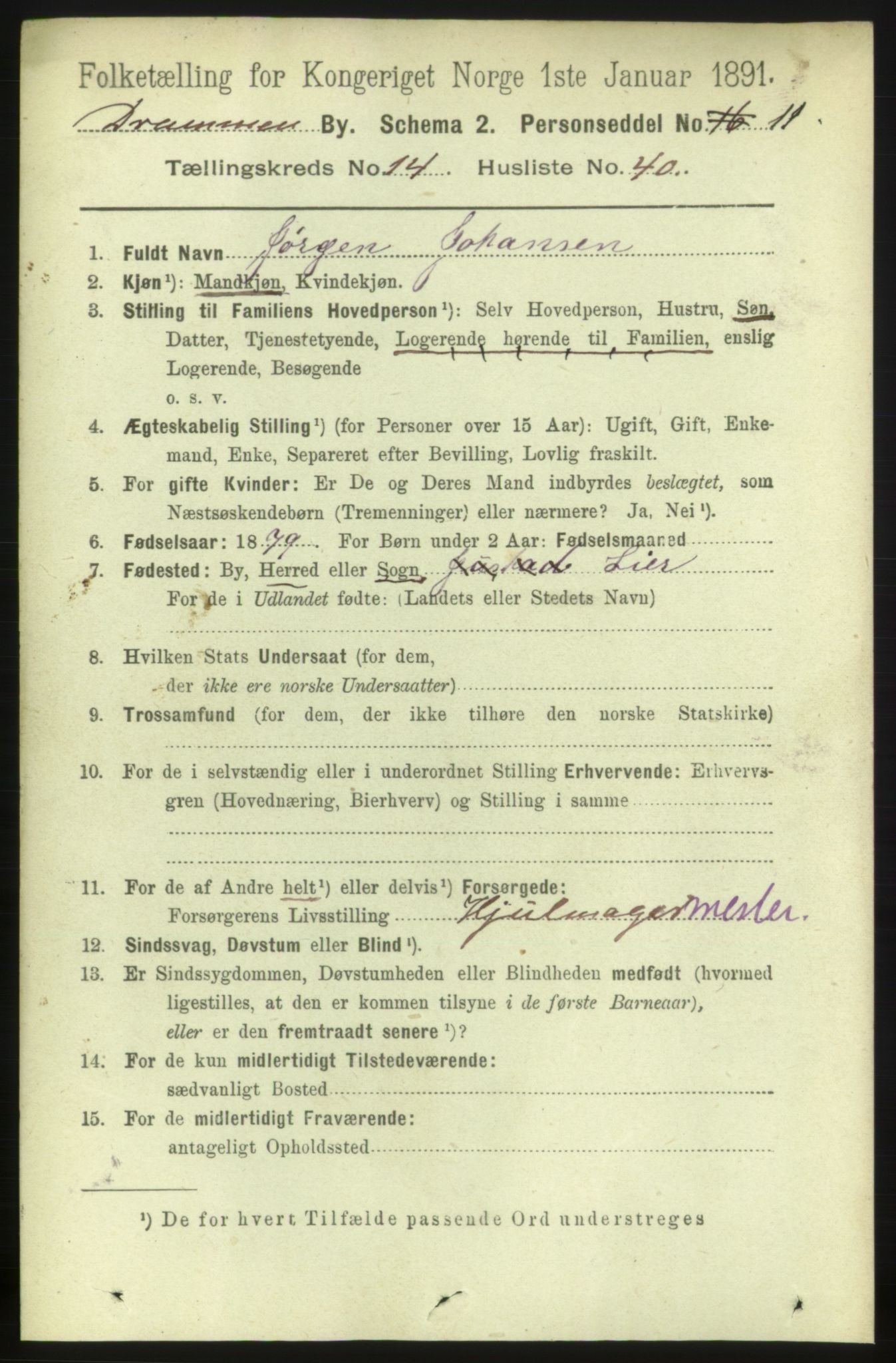 RA, 1891 census for 0602 Drammen, 1891, p. 10494