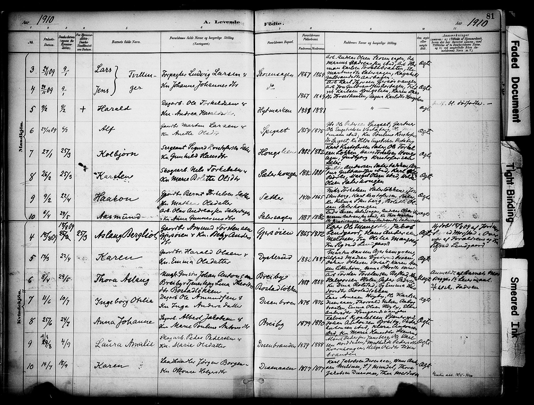 Sør-Odal prestekontor, AV/SAH-PREST-030/H/Ha/Haa/L0008: Parish register (official) no. 8, 1886-1922, p. 81
