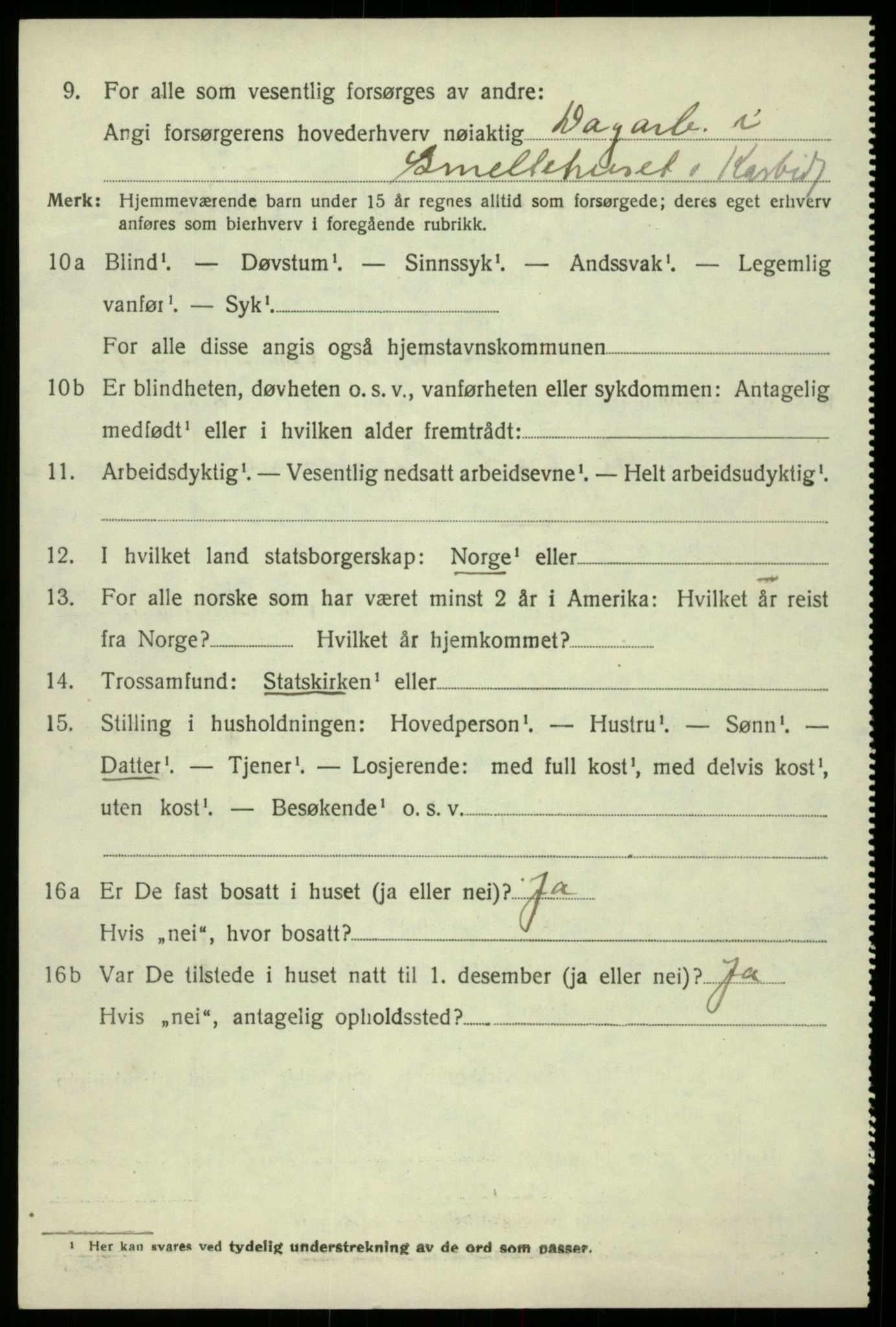 SAB, 1920 census for Odda, 1920, p. 6390