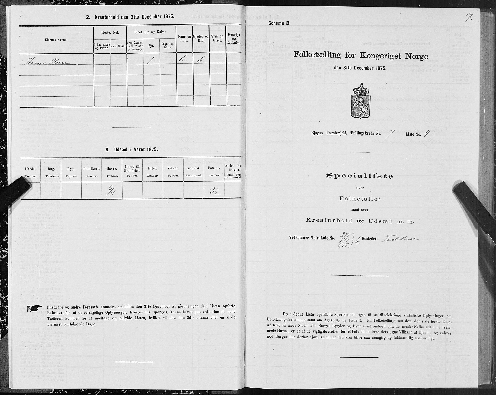 SAT, 1875 census for 1627P Bjugn, 1875, p. 4007