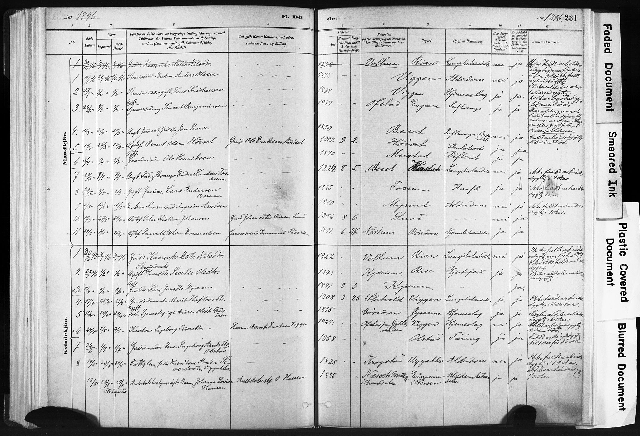 Ministerialprotokoller, klokkerbøker og fødselsregistre - Sør-Trøndelag, SAT/A-1456/665/L0773: Parish register (official) no. 665A08, 1879-1905, p. 231