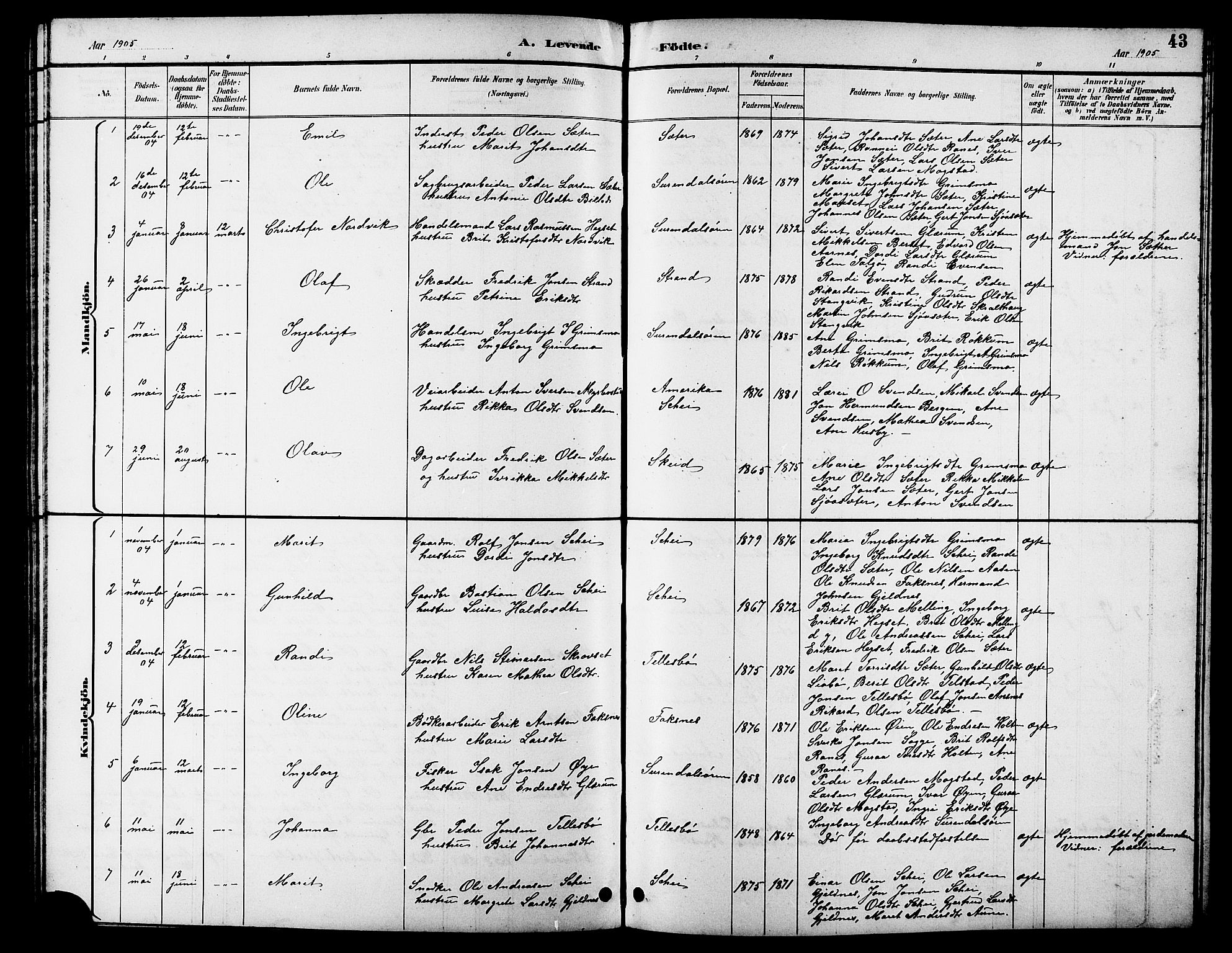 Ministerialprotokoller, klokkerbøker og fødselsregistre - Møre og Romsdal, AV/SAT-A-1454/596/L1058: Parish register (copy) no. 596C01, 1891-1907, p. 43