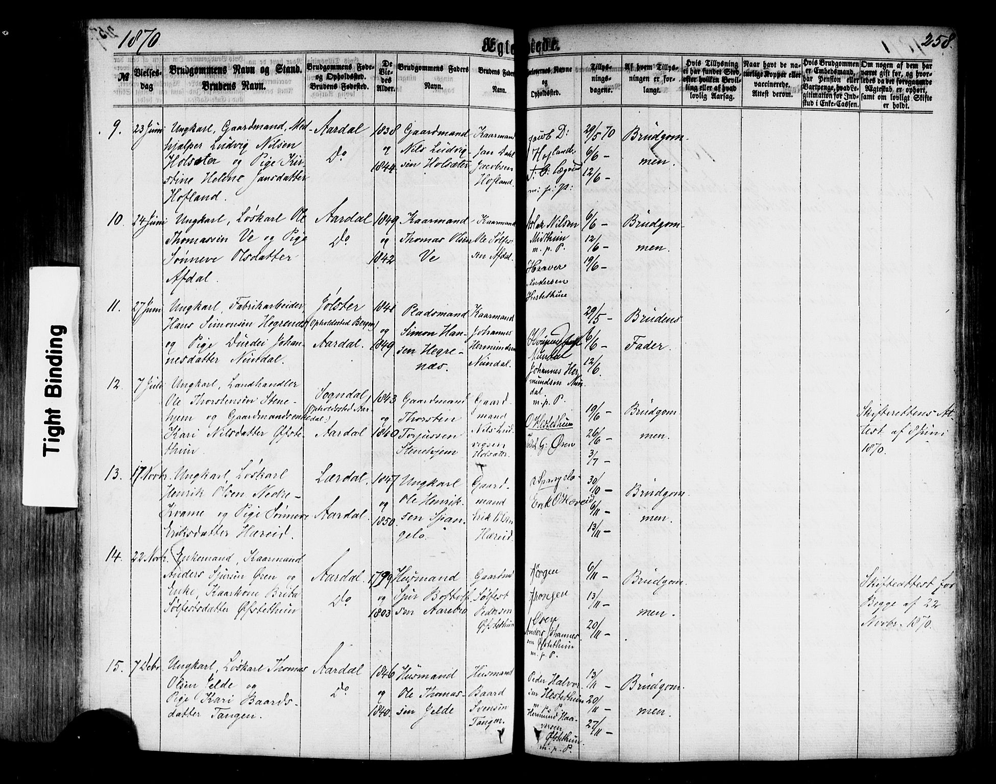 Årdal sokneprestembete, AV/SAB-A-81701: Parish register (official) no. A 3, 1863-1886, p. 258