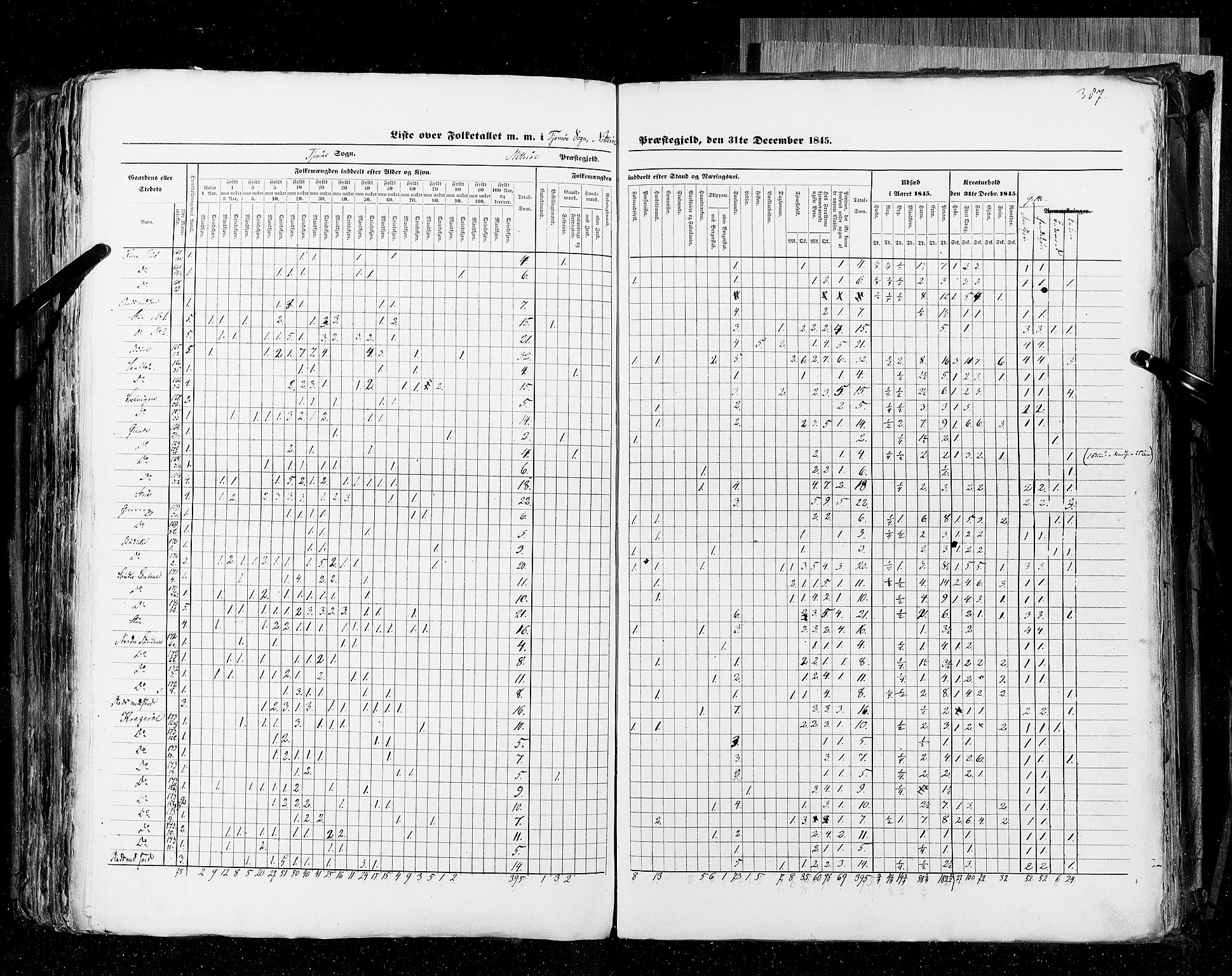 RA, Census 1845, vol. 4: Buskerud amt og Jarlsberg og Larvik amt, 1845, p. 387