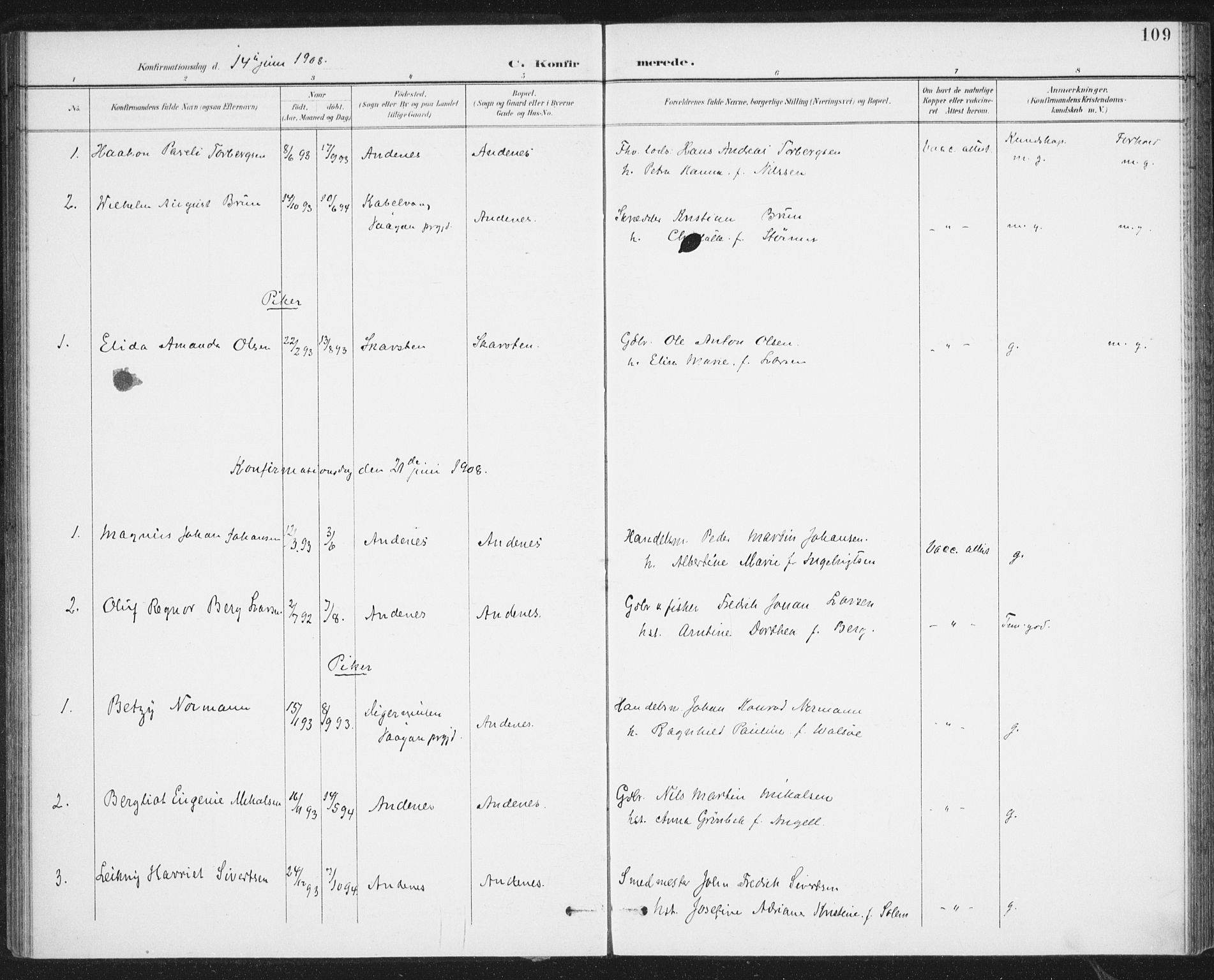 Ministerialprotokoller, klokkerbøker og fødselsregistre - Nordland, SAT/A-1459/899/L1437: Parish register (official) no. 899A05, 1897-1908, p. 109