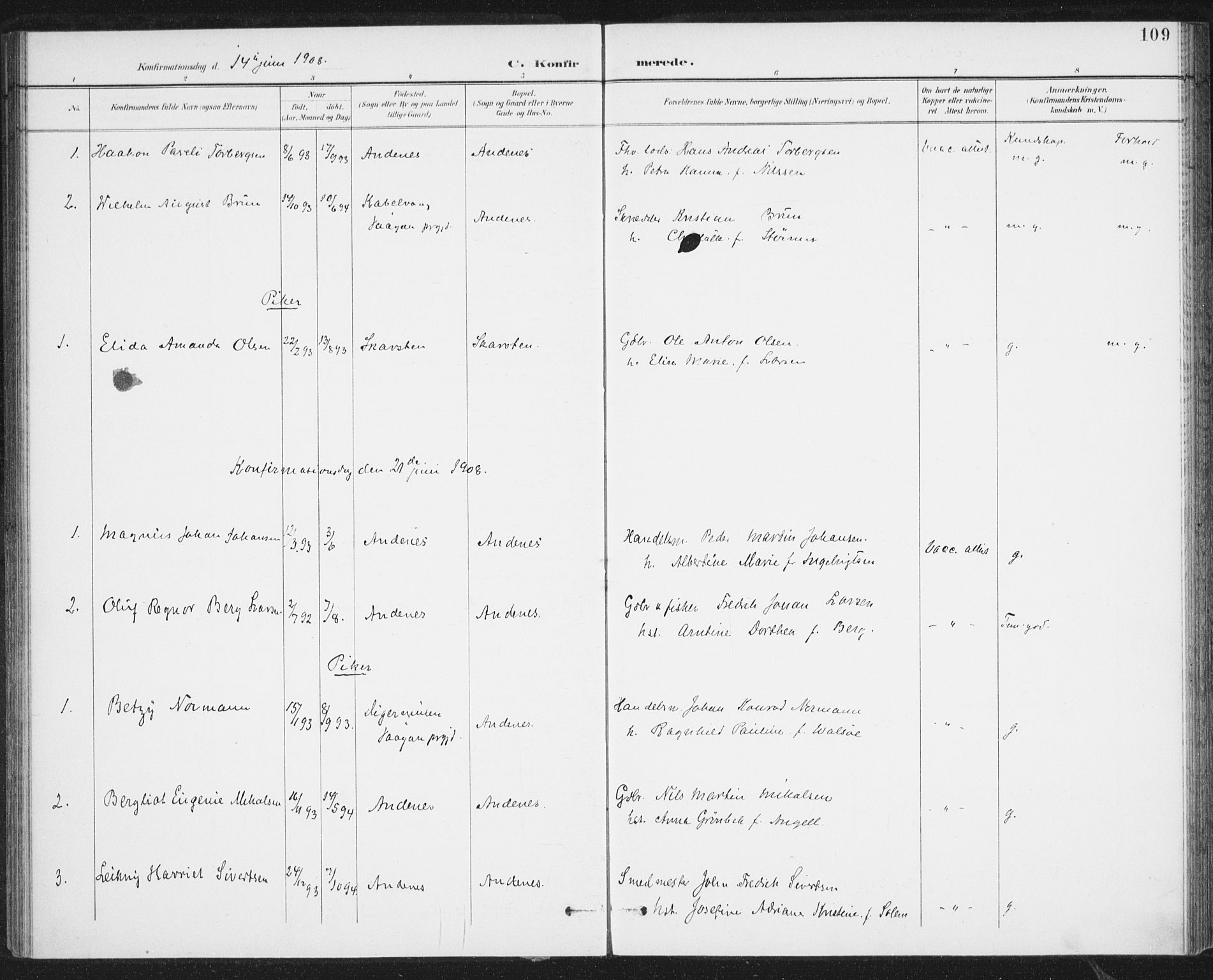 Ministerialprotokoller, klokkerbøker og fødselsregistre - Nordland, AV/SAT-A-1459/899/L1437: Parish register (official) no. 899A05, 1897-1908, p. 109