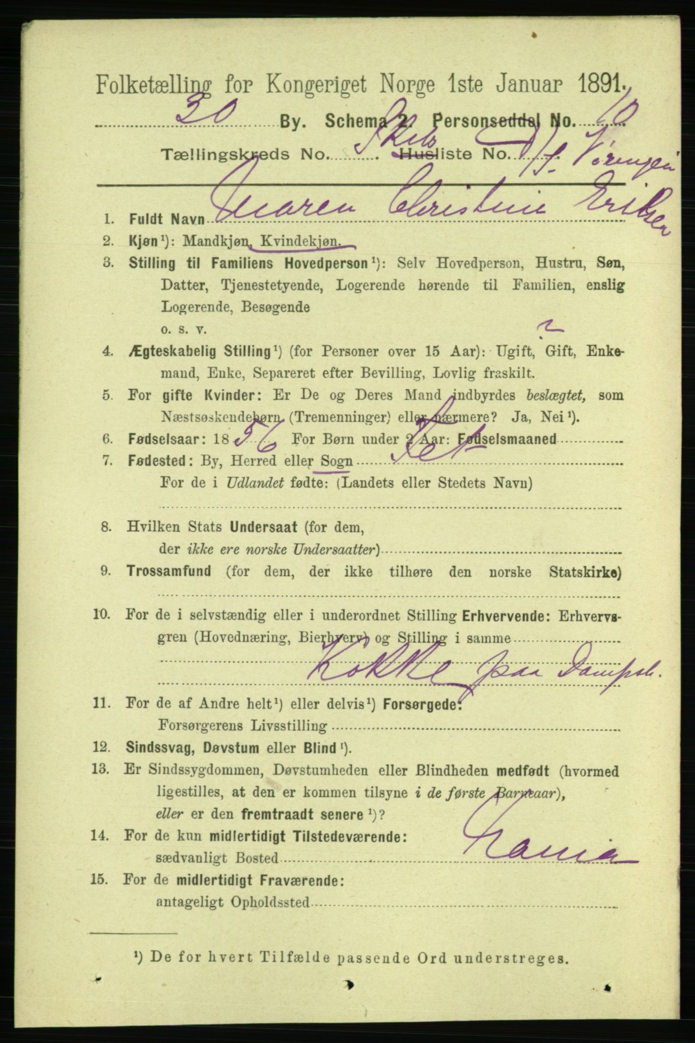 RA, 1891 census for 0806 Skien, 1891, p. 11506