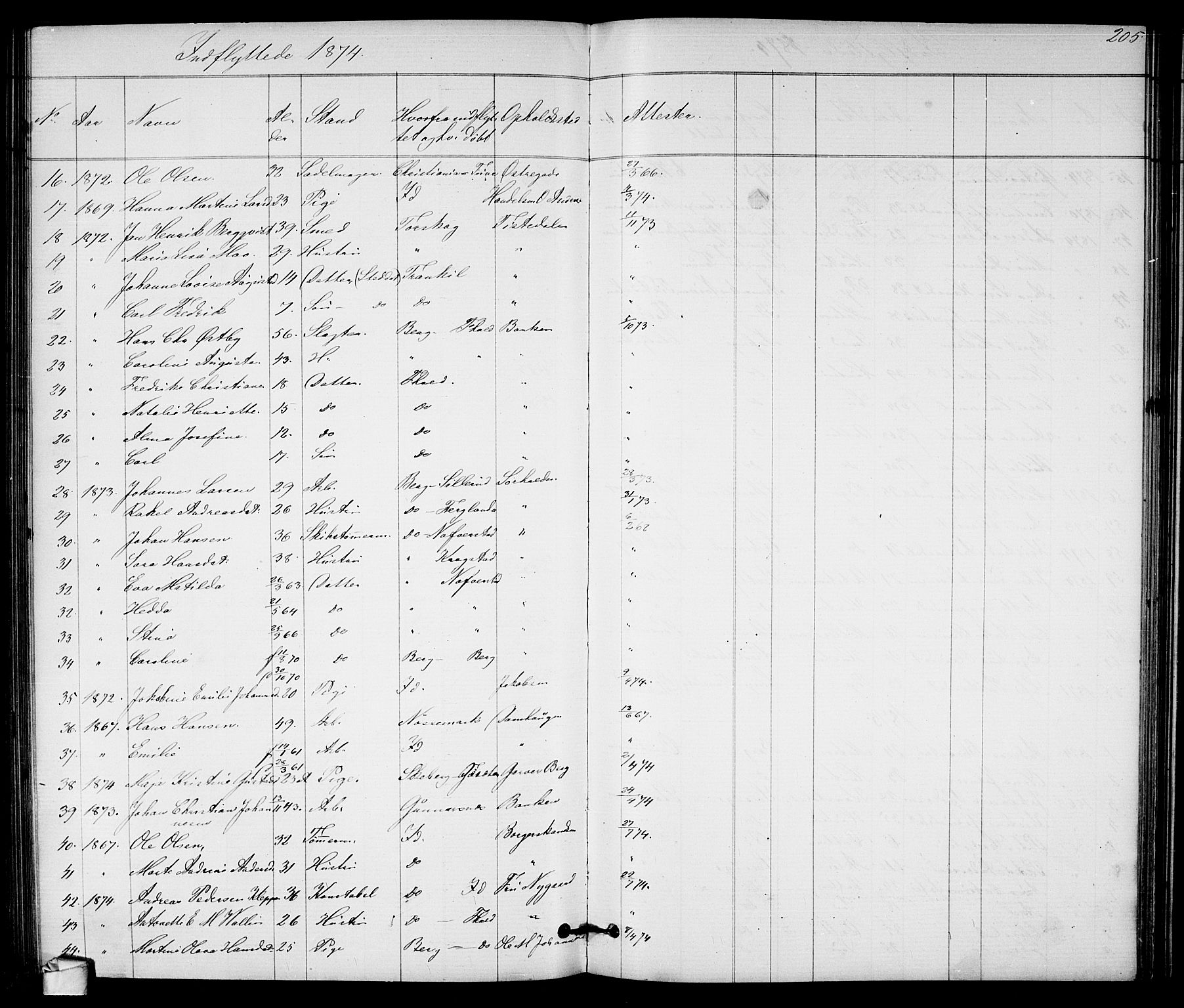 Halden prestekontor Kirkebøker, SAO/A-10909/G/Ga/L0007: Parish register (copy) no. 7, 1869-1884, p. 205