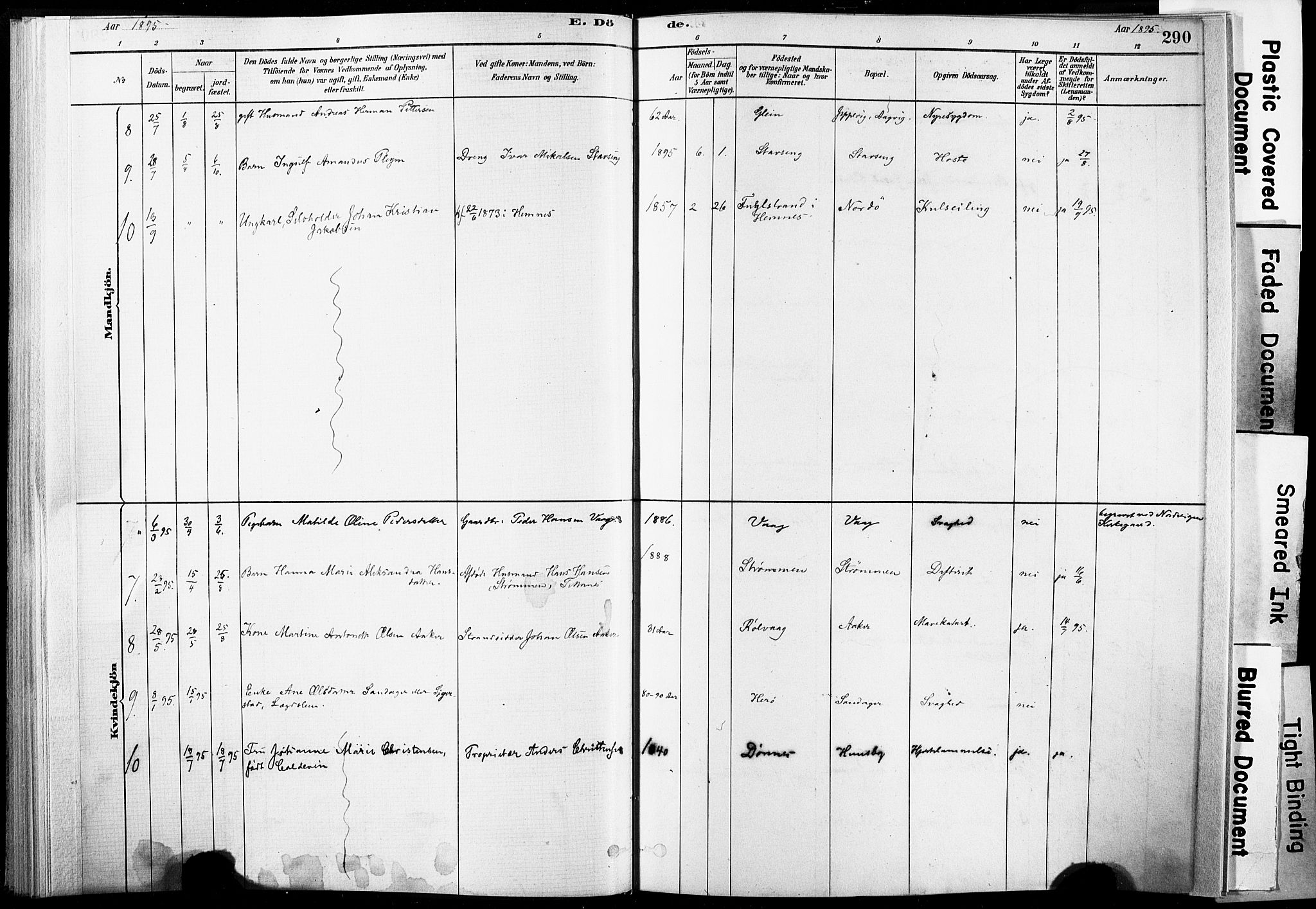 Ministerialprotokoller, klokkerbøker og fødselsregistre - Nordland, AV/SAT-A-1459/835/L0526: Parish register (official) no. 835A03II, 1881-1910, p. 290