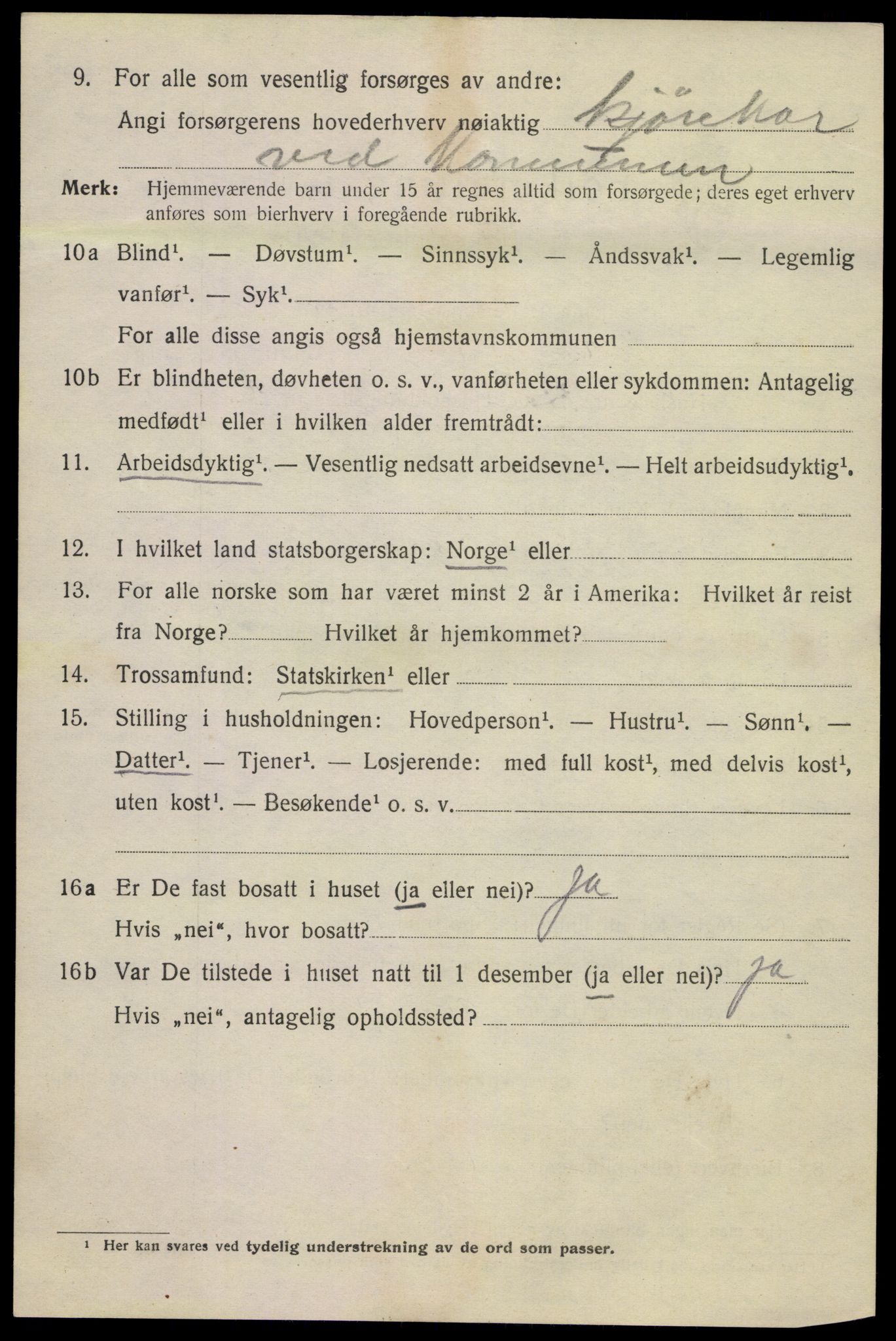 SAKO, 1920 census for Kragerø, 1920, p. 8234