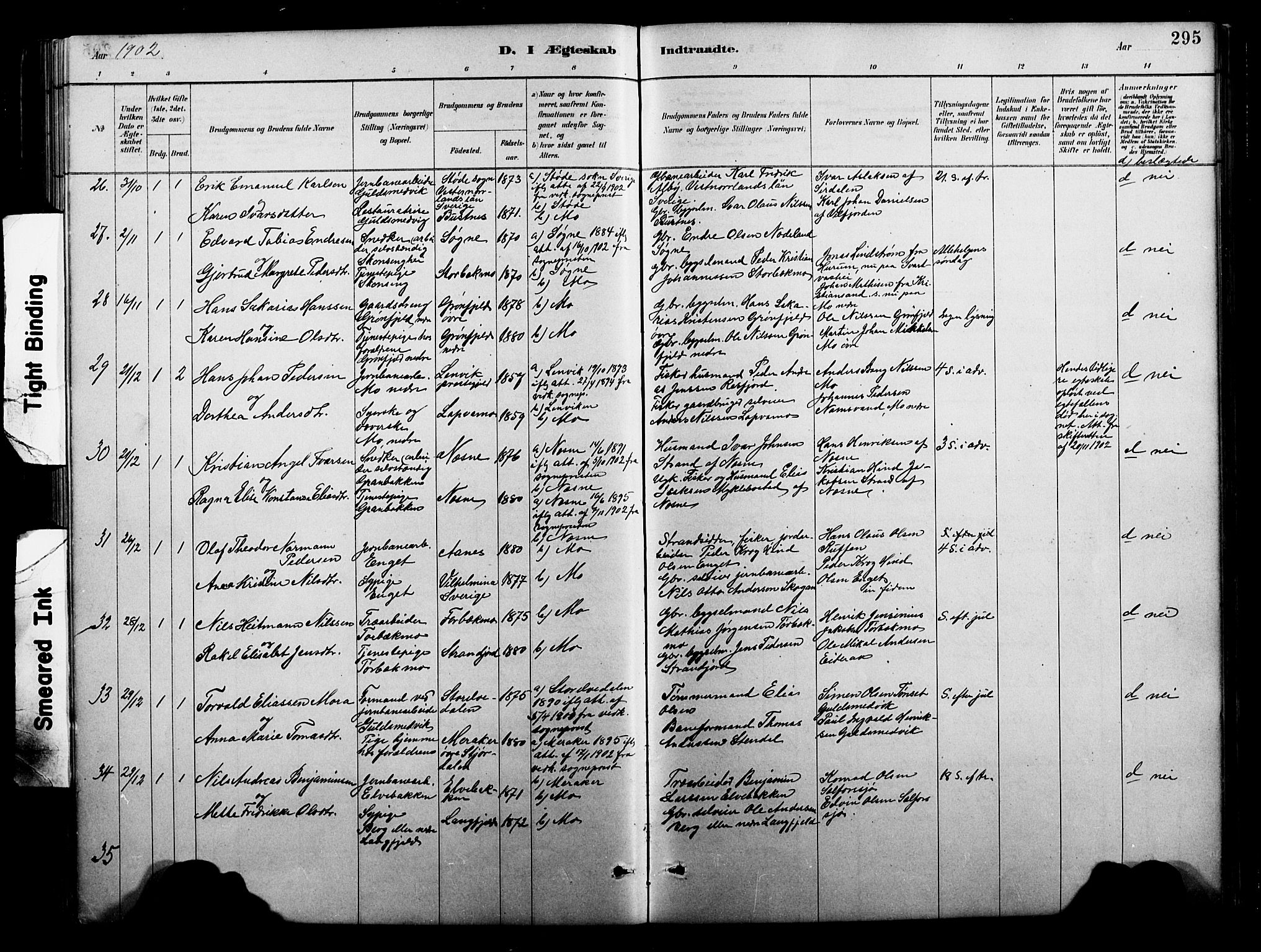 Ministerialprotokoller, klokkerbøker og fødselsregistre - Nordland, SAT/A-1459/827/L0421: Parish register (copy) no. 827C10, 1887-1906, p. 295