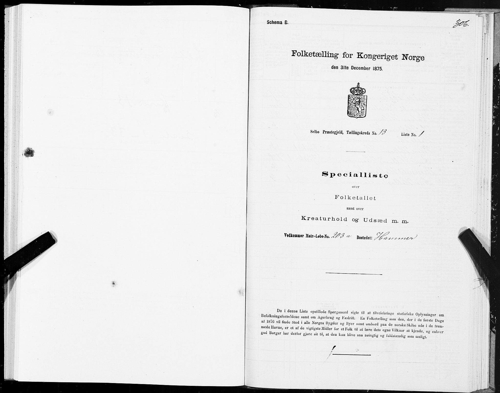 SAT, 1875 census for 1664P Selbu, 1875, p. 6306