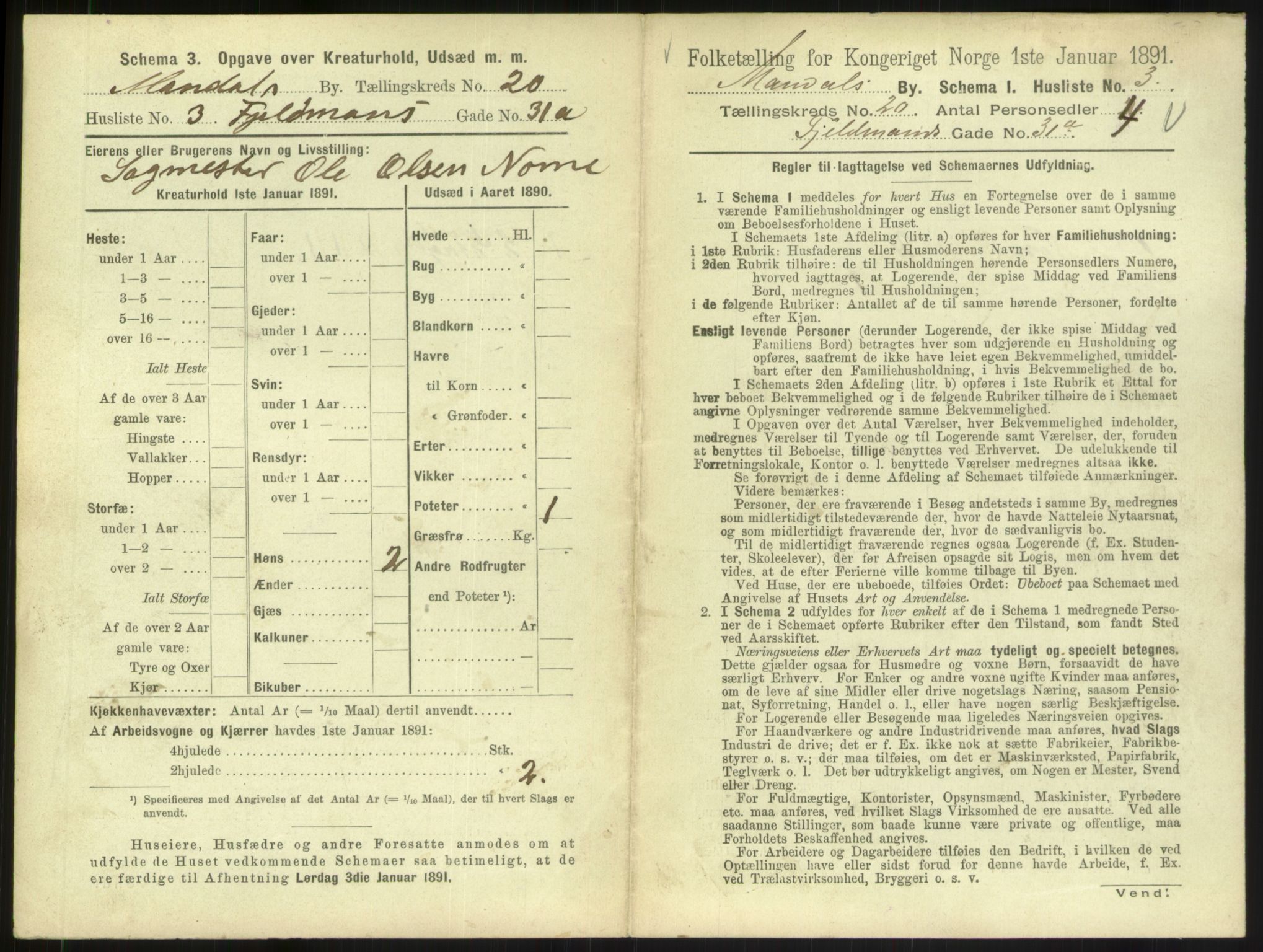 RA, 1891 census for 1002 Mandal, 1891, p. 901