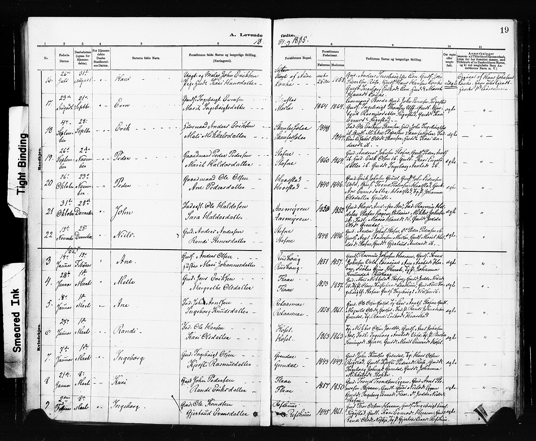 Ministerialprotokoller, klokkerbøker og fødselsregistre - Sør-Trøndelag, SAT/A-1456/674/L0871: Parish register (official) no. 674A03, 1880-1896, p. 19
