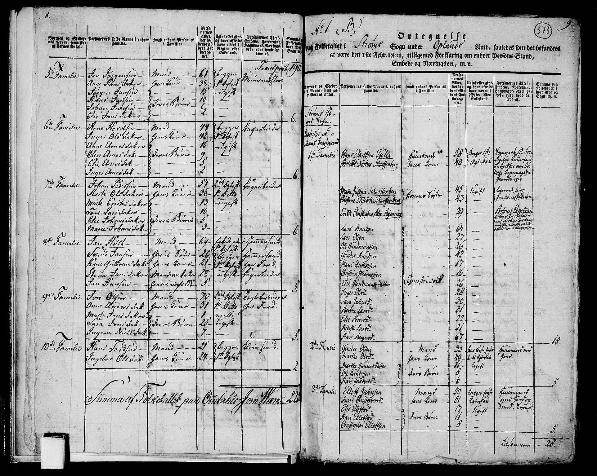 RA, 1801 census for 0419P Strøm, 1801, p. 372b-373a