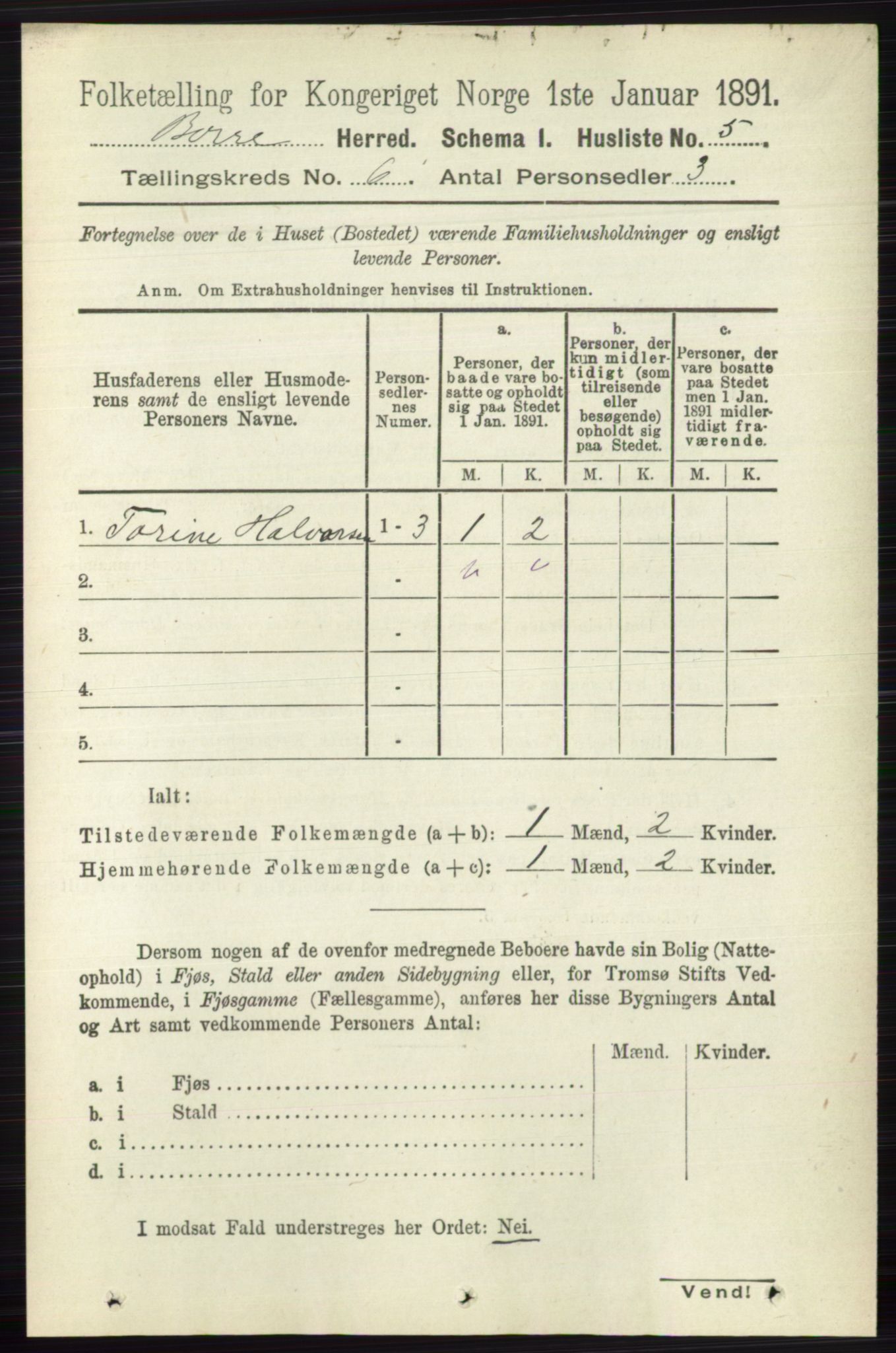 RA, 1891 census for 0717 Borre, 1891, p. 2537