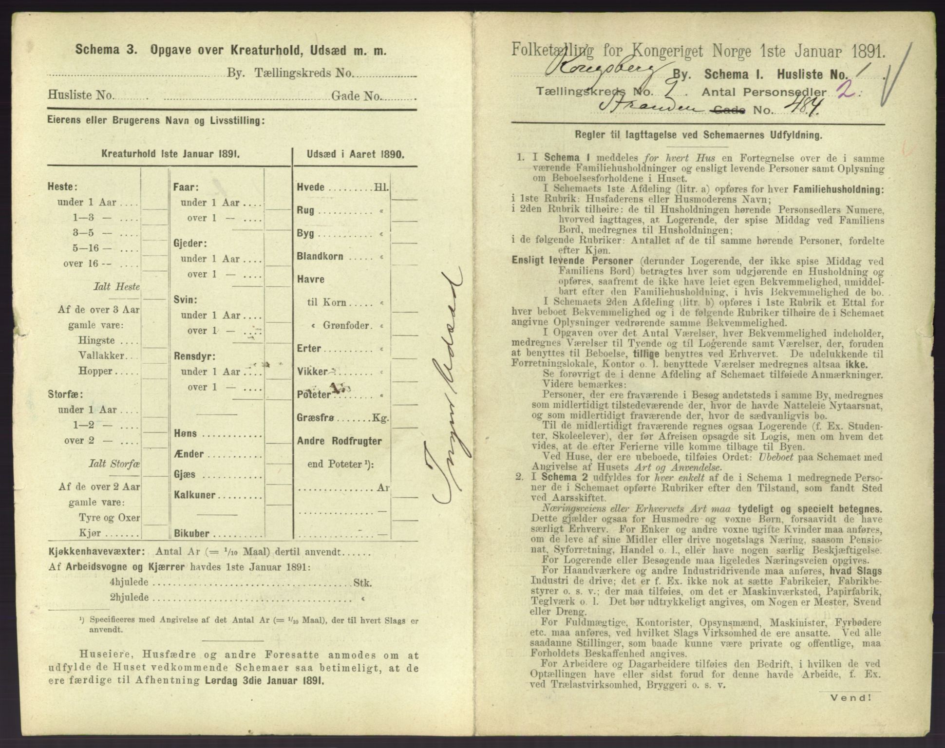 RA, 1891 census for 0604 Kongsberg, 1891, p. 1221