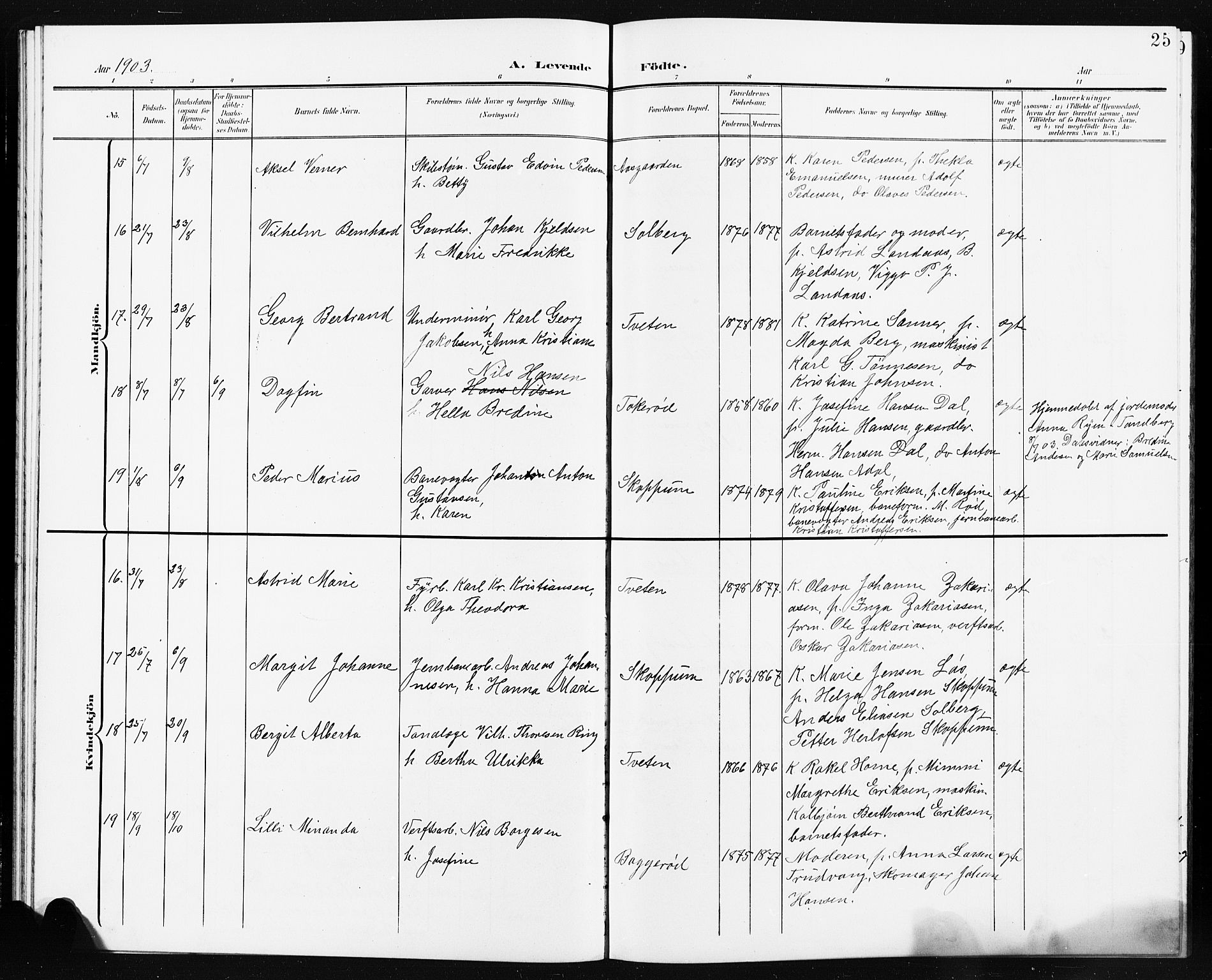 Borre kirkebøker, AV/SAKO-A-338/G/Ga/L0005: Parish register (copy) no. I 5, 1898-1910, p. 25