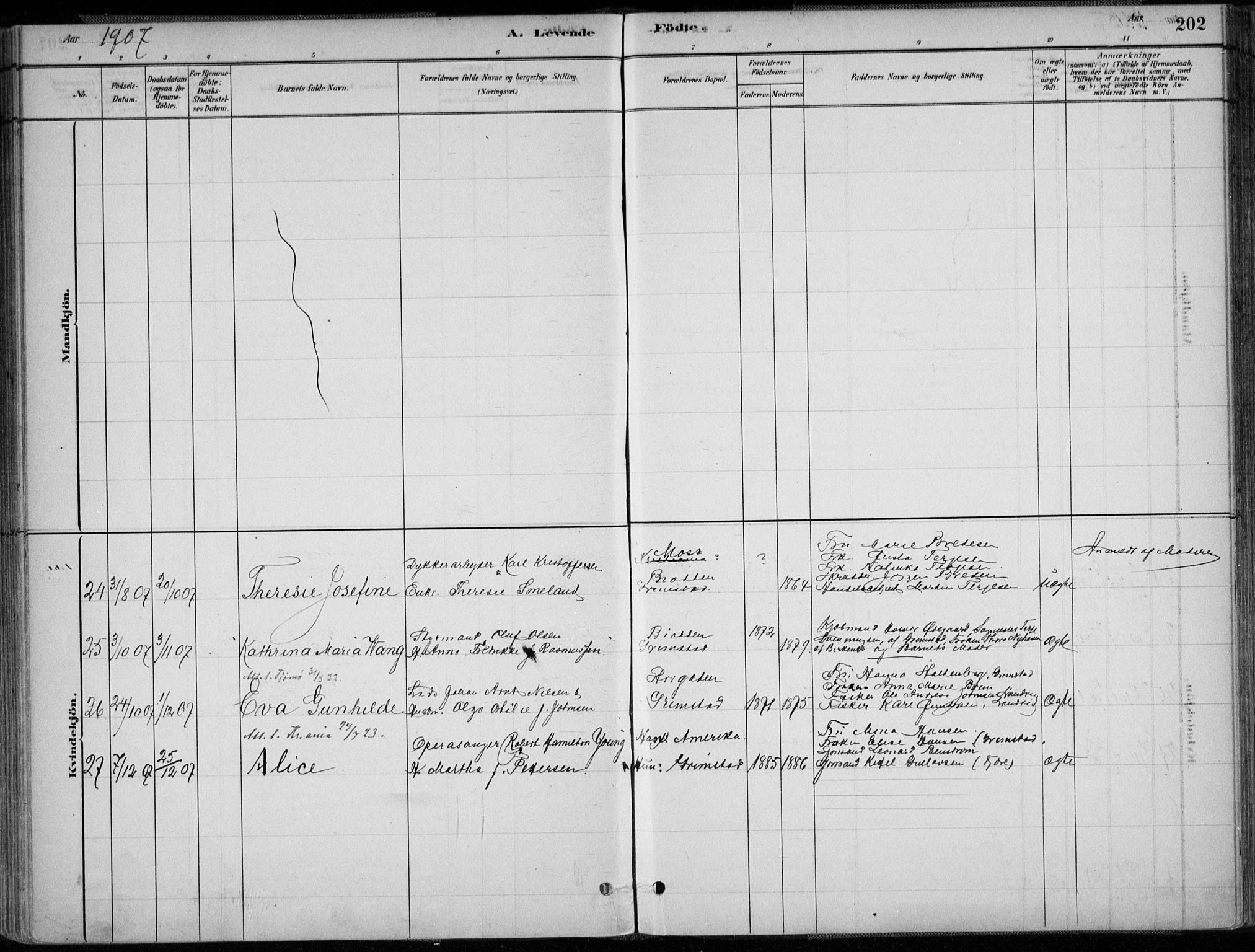 Grimstad sokneprestkontor, SAK/1111-0017/F/Fa/L0003: Parish register (official) no. A 2, 1882-1912, p. 202