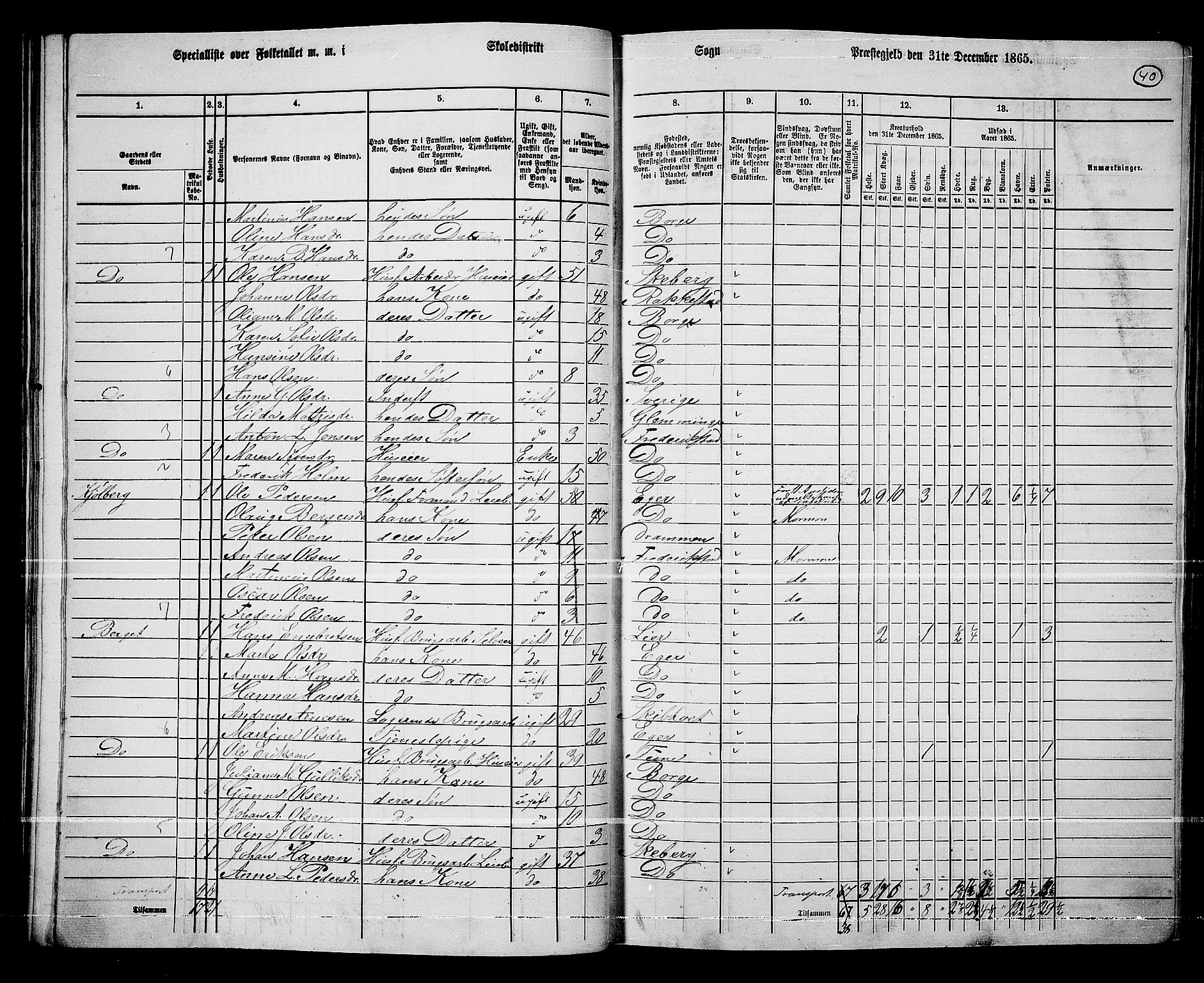 RA, 1865 census for Borge, 1865, p. 38