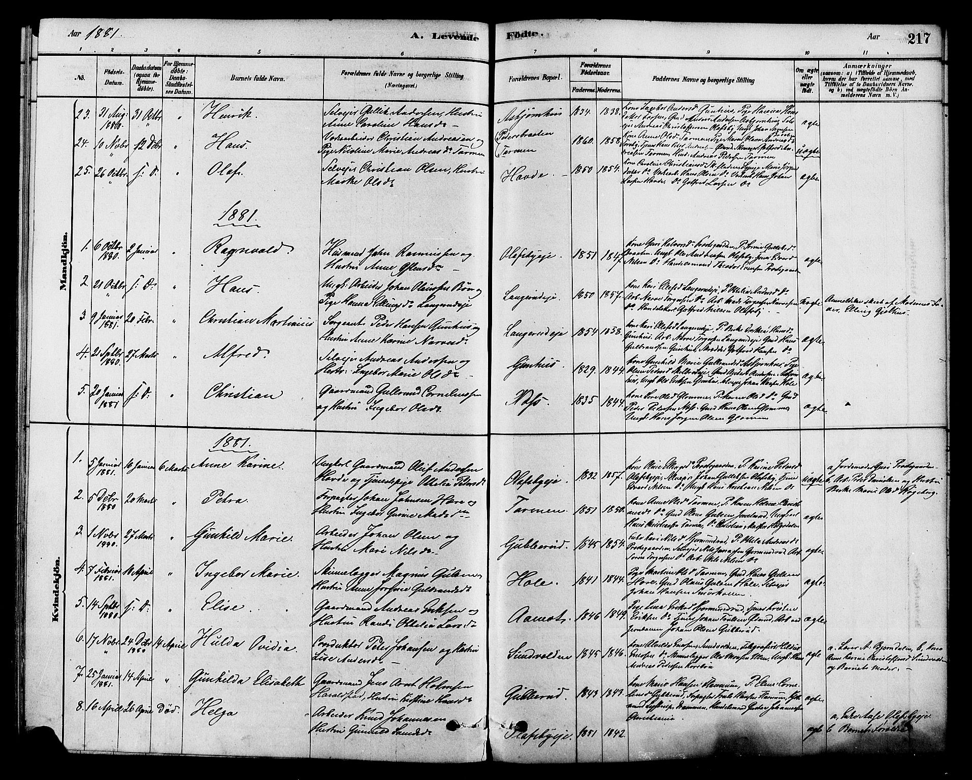 Modum kirkebøker, SAKO/A-234/F/Fa/L0015: Parish register (official) no. 15 /2, 1877-1889, p. 217